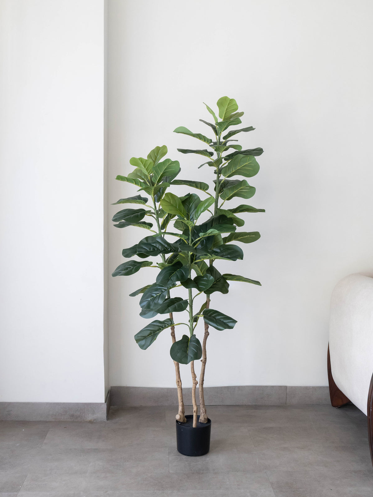 Artificial Velora Fiddle Leaf Fig Tree 5ft