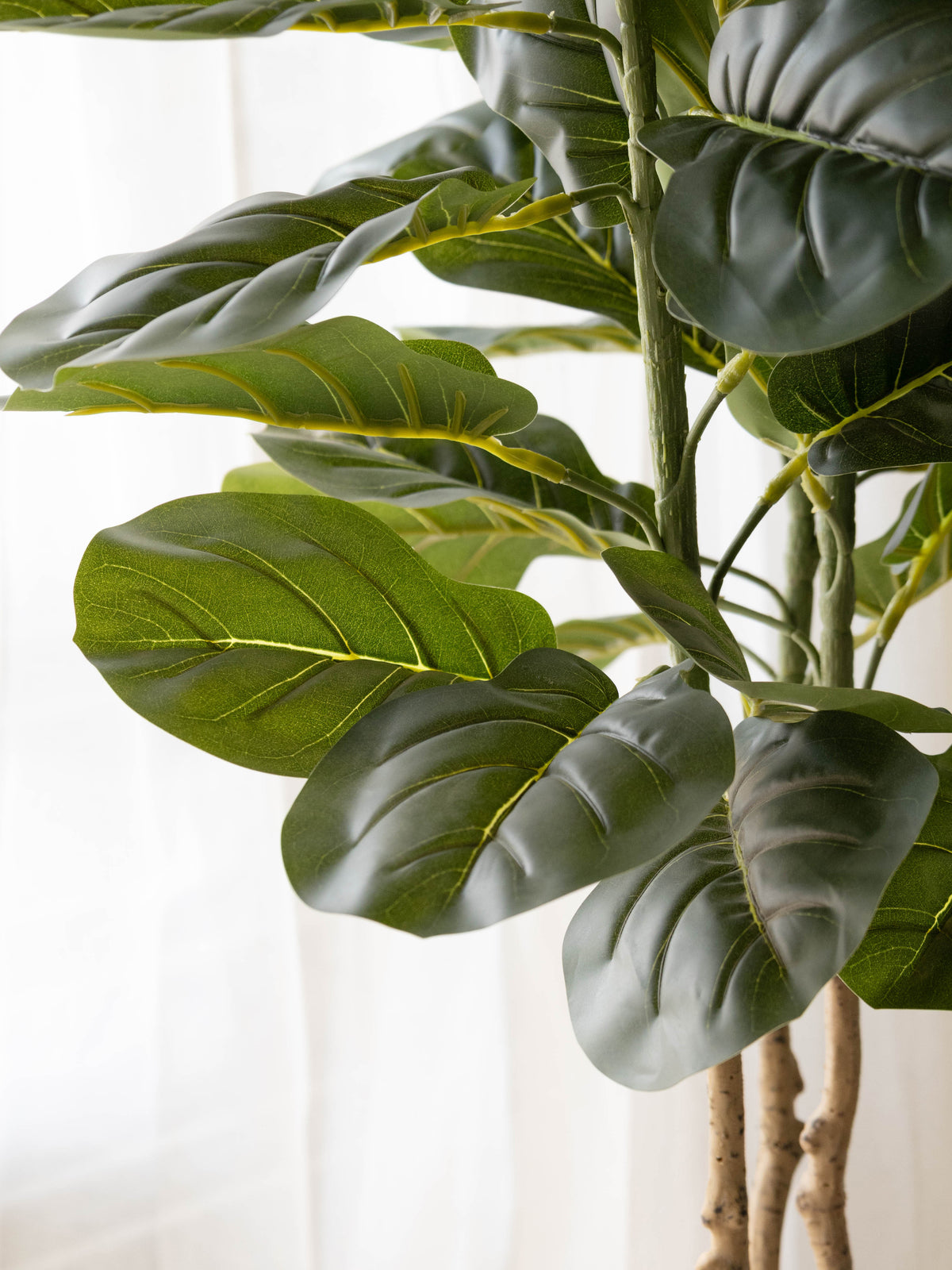 Artificial Velora Fiddle Leaf Fig Tree 6ft