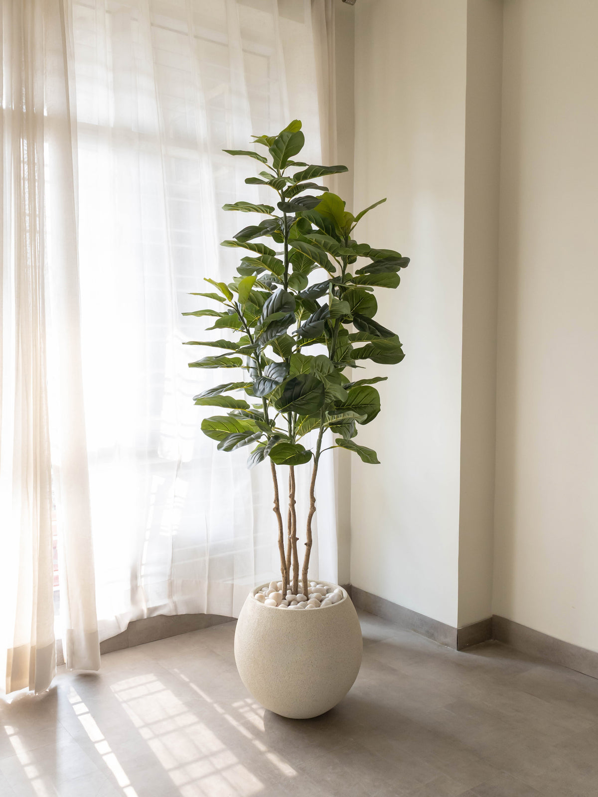 Artificial Velora Fiddle Leaf Fig Tree 6ft