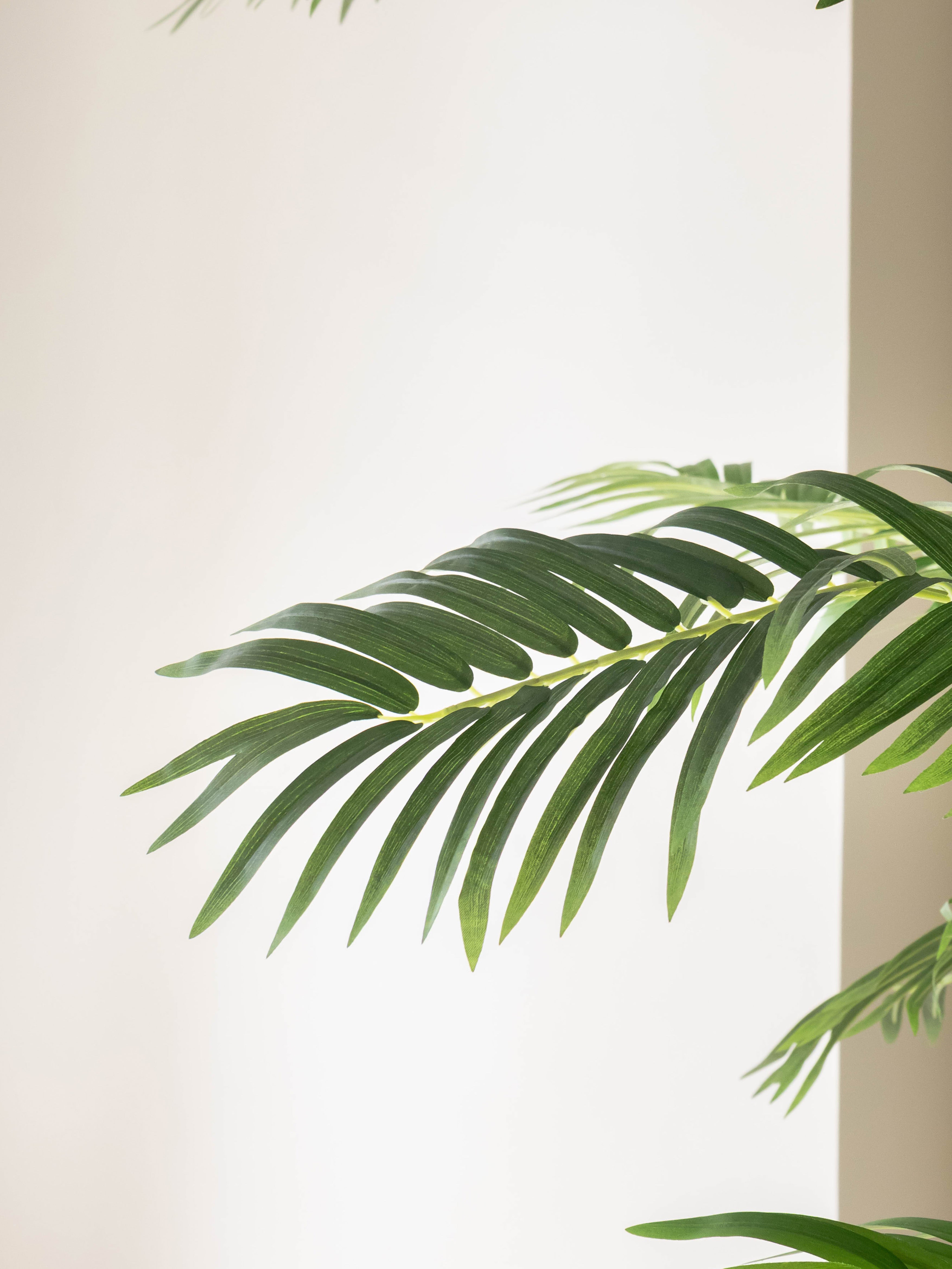 Artificial Bamboo Areca Palm 6ft