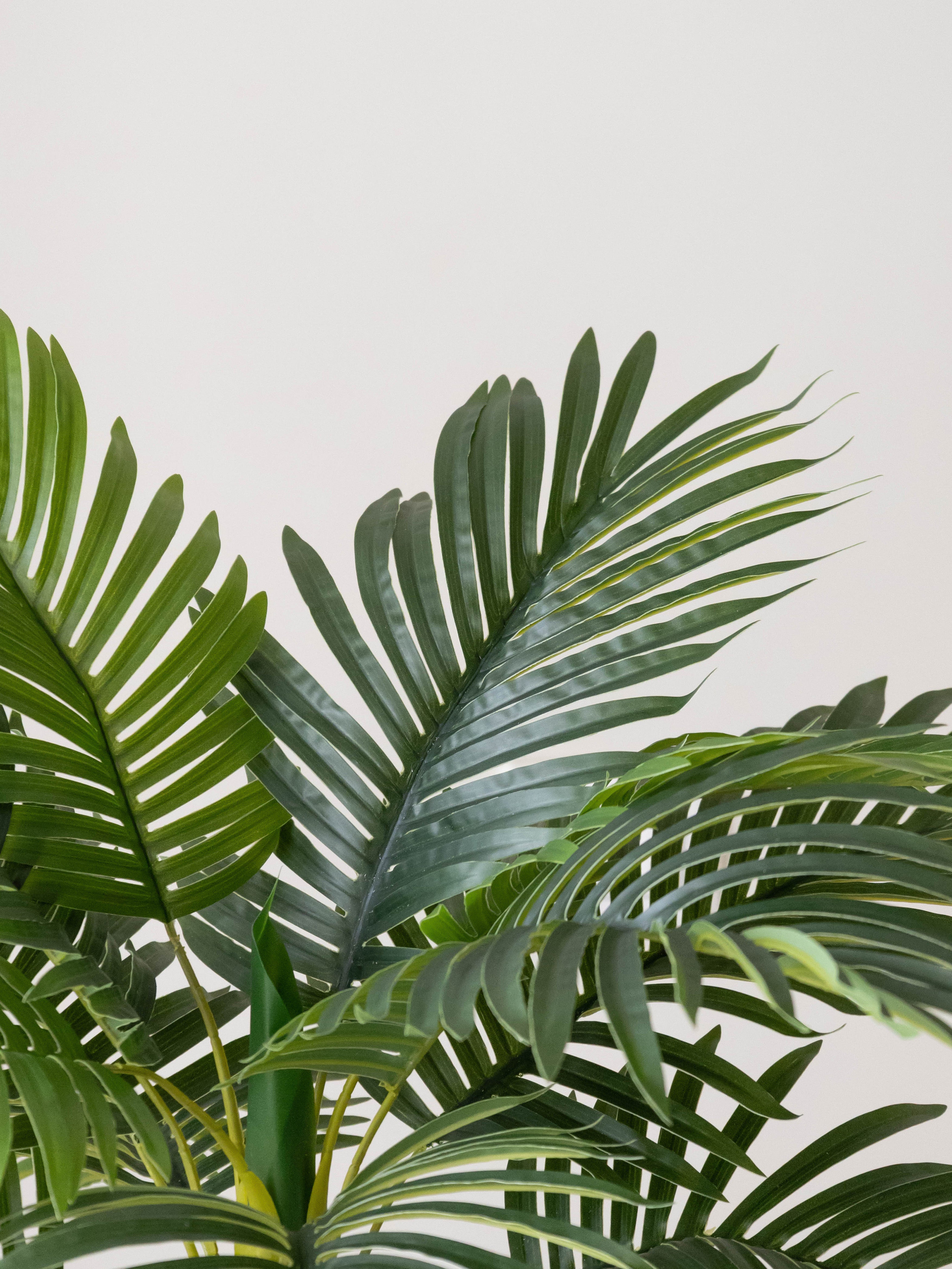 Artificial Bottle Areca Palm 3ft