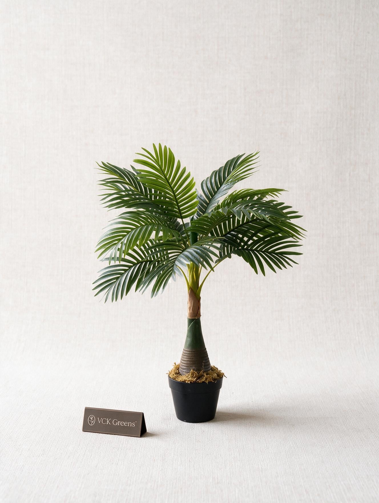 Artificial Bottle Areca Palm 3ft