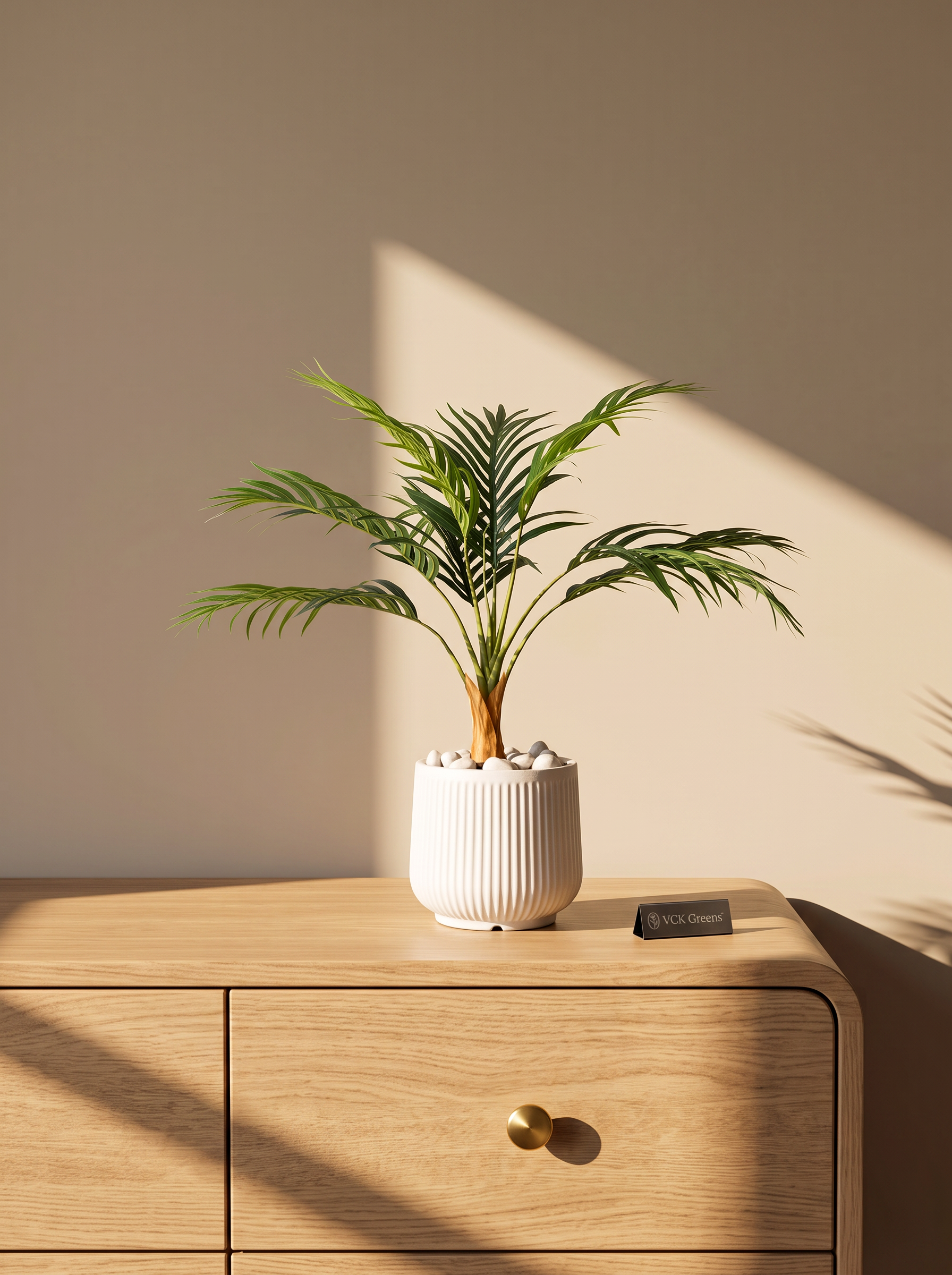 Artificial Areca Palm in White Pot 2.6ft