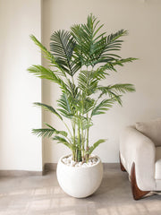 Artificial Greenveil Areca Palm 6ft
