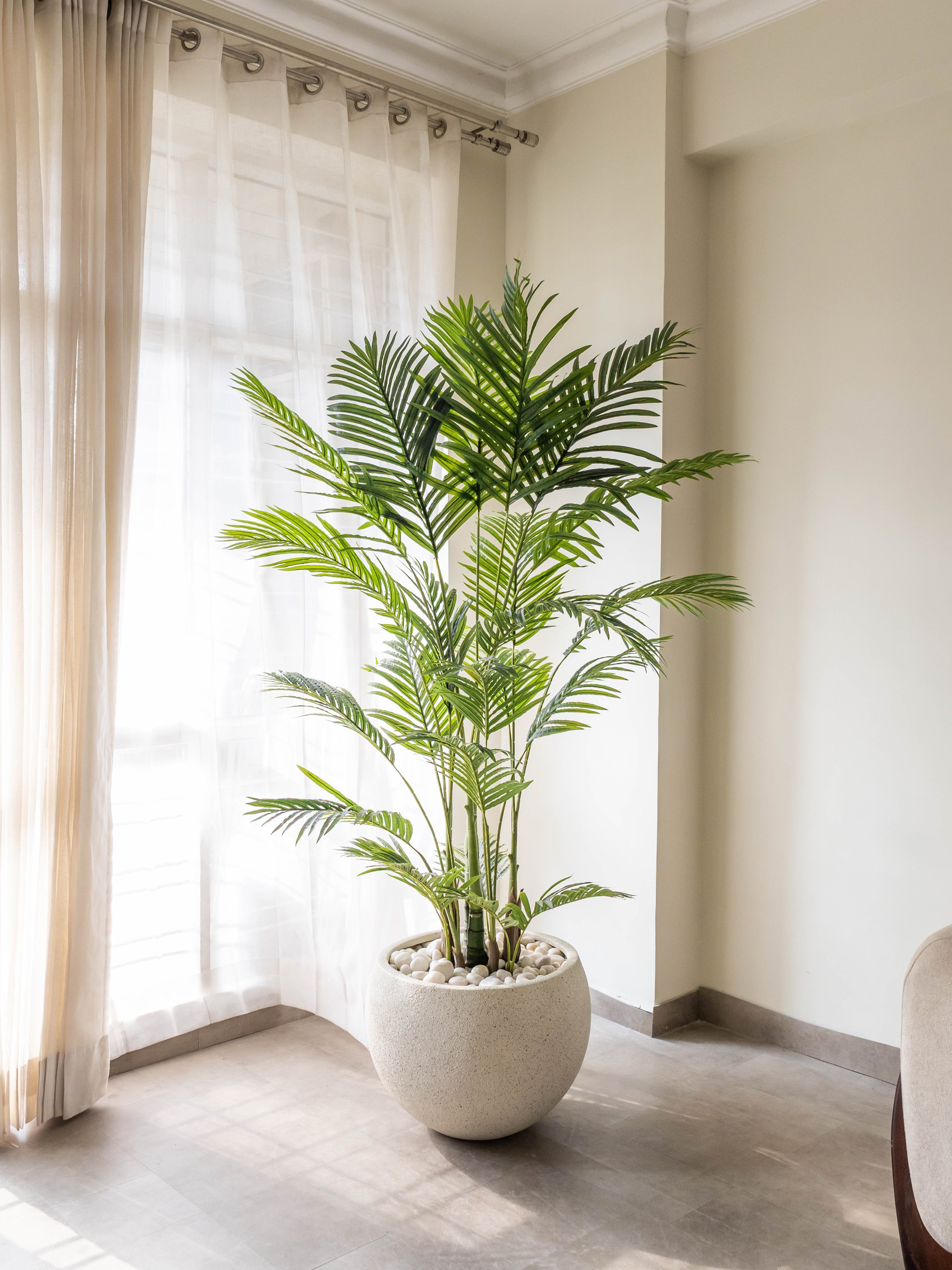 Artificial Greenveil Areca Palm 6ft