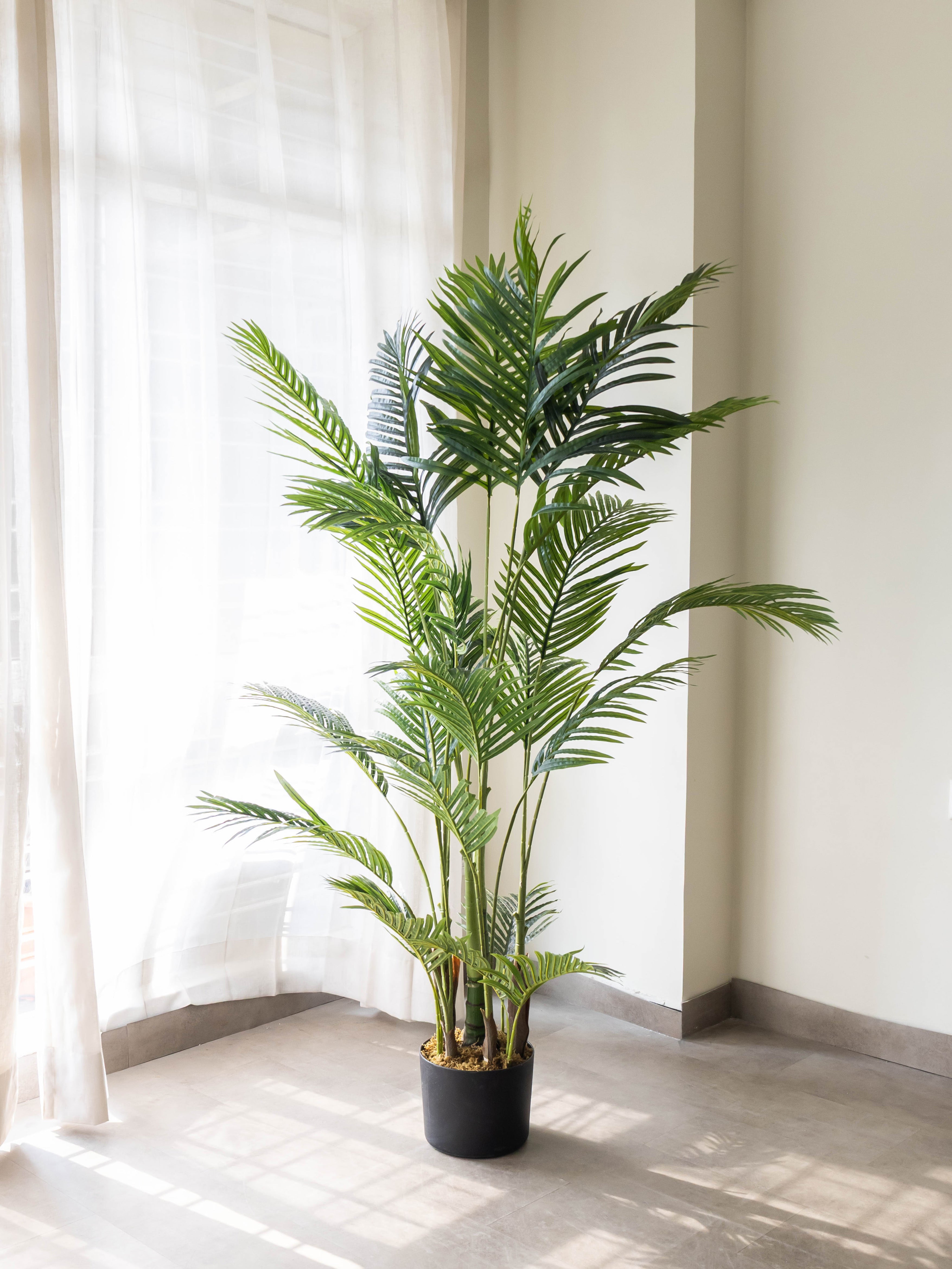 Artificial Greenveil Areca Palm 6ft