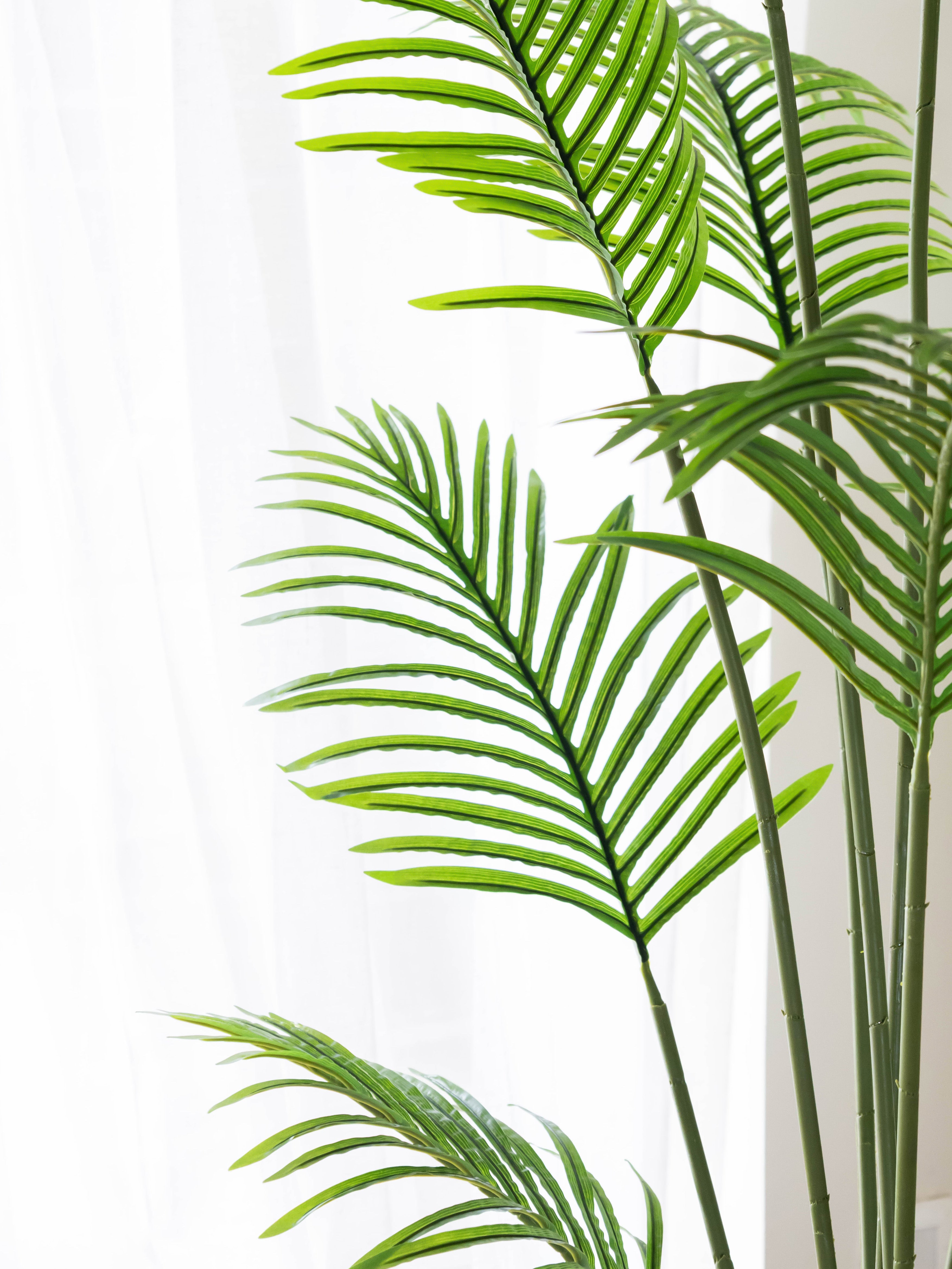 Artificial Lushscape Areca Palm 6.5ft