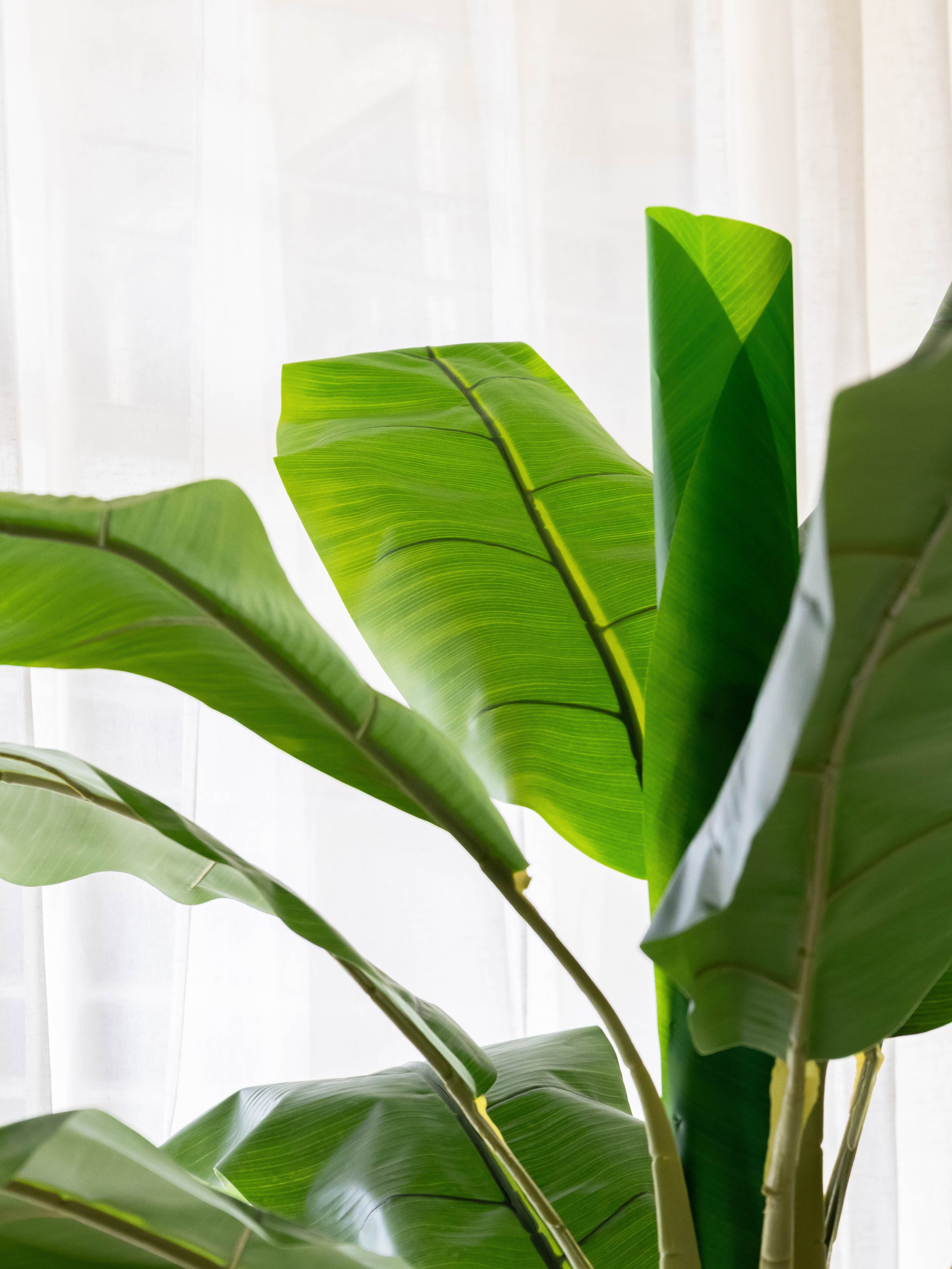 Artificial Banana Tree 6.5ft