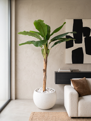 Artificial Banana Tree 6.5ft