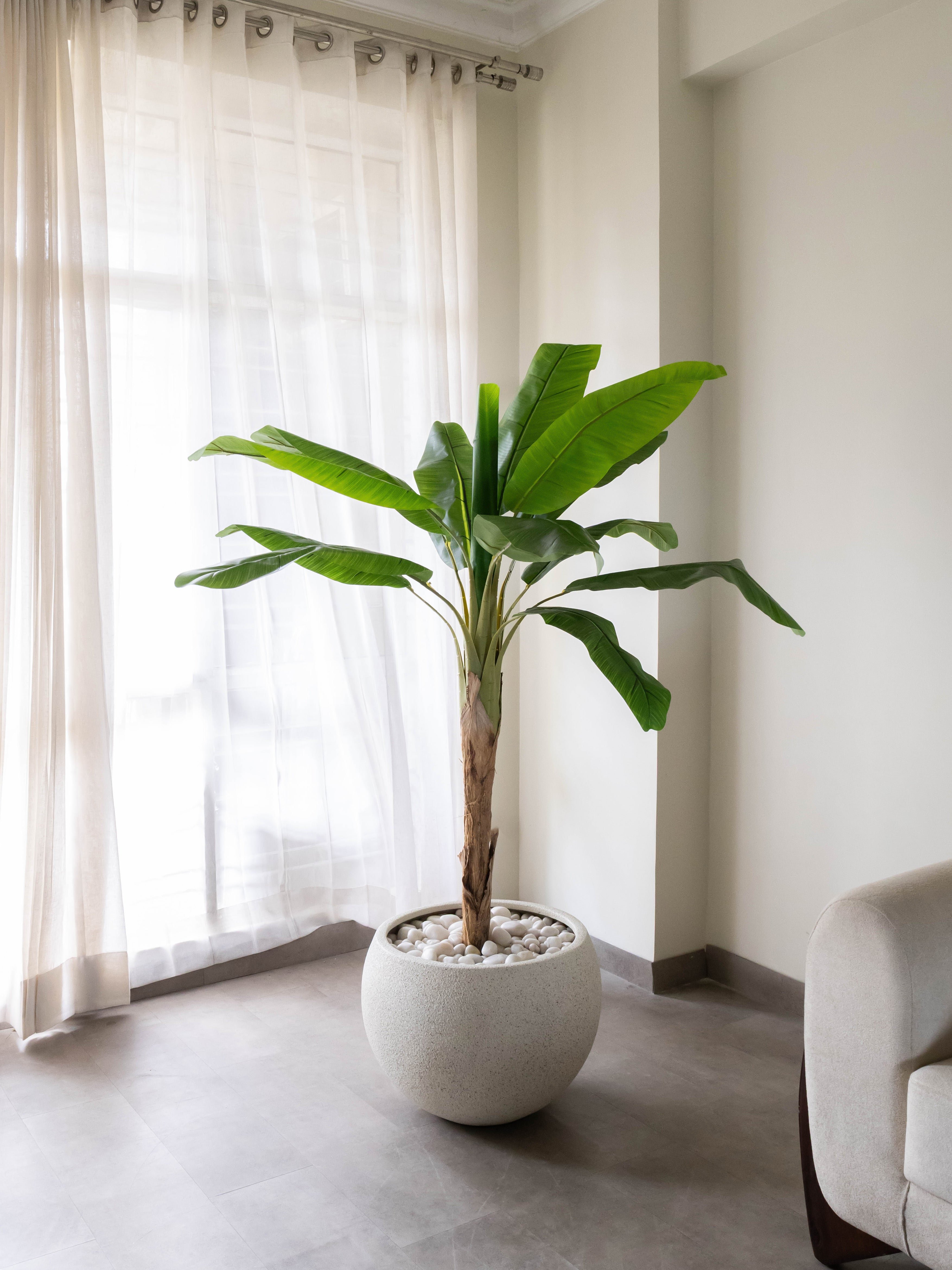 Artificial Banana Tree 5.5ft