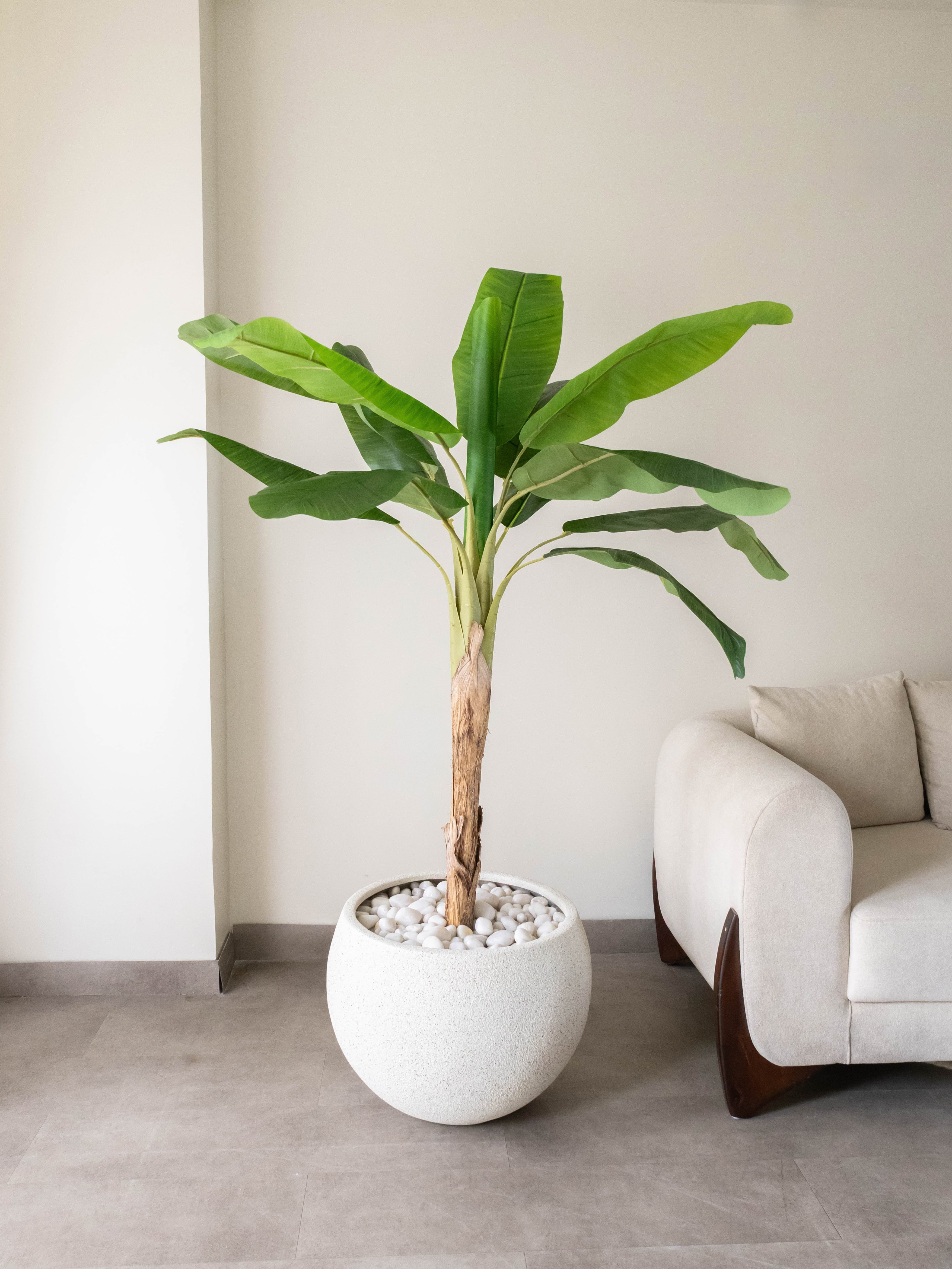 Artificial Banana Tree 5.5ft