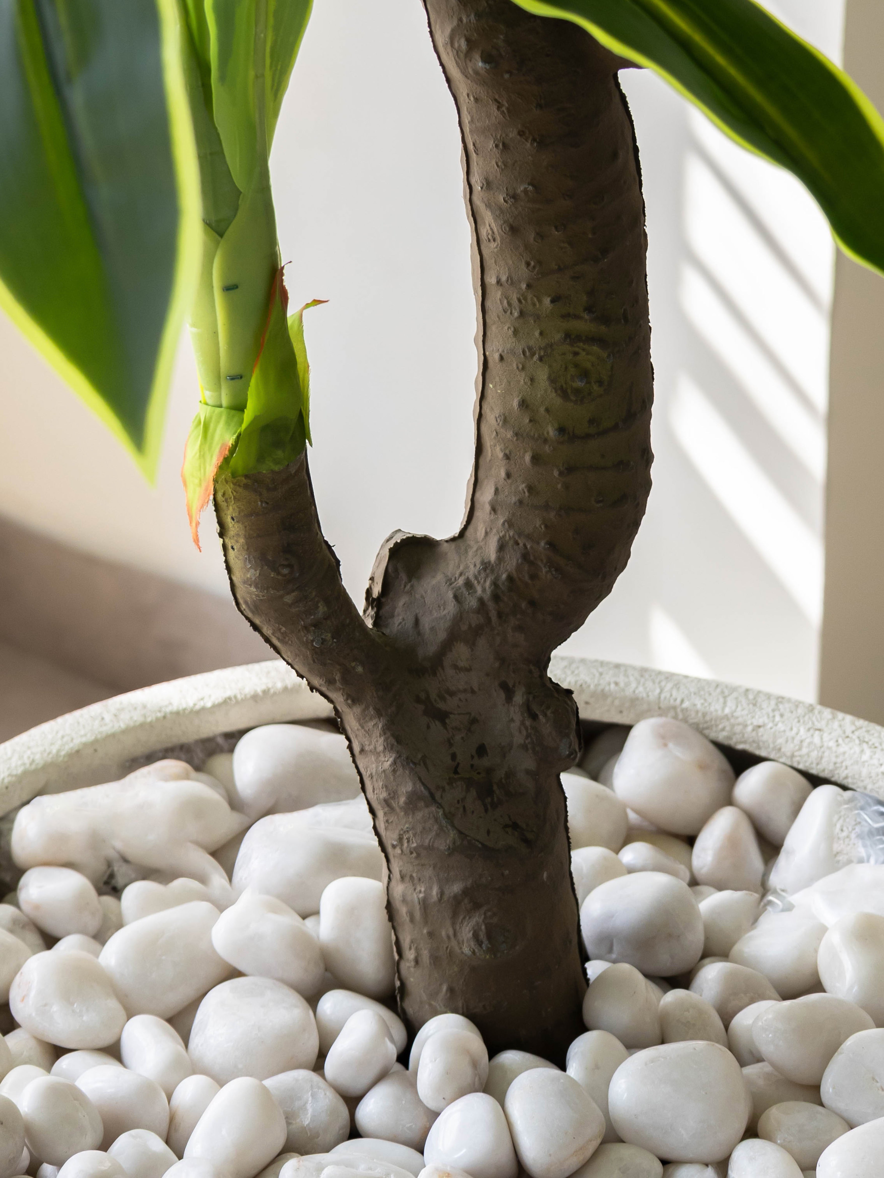 Artificial Variegated Dracaena Plant 6ft
