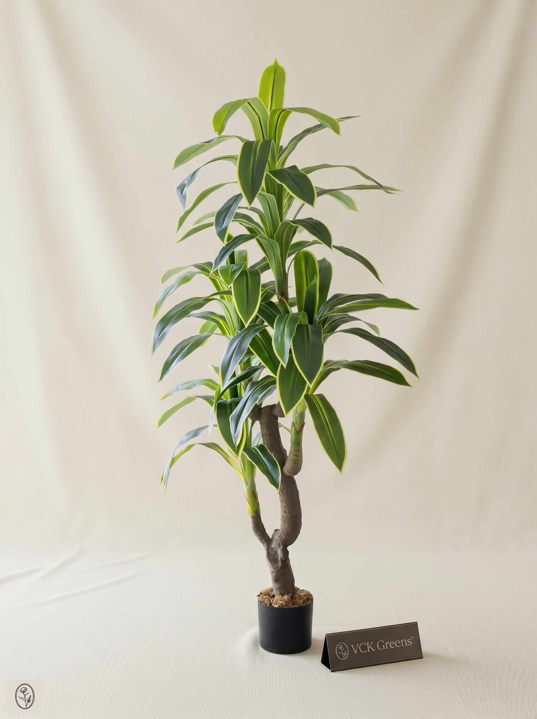 Artificial Variegated Dracaena Plant 6ft