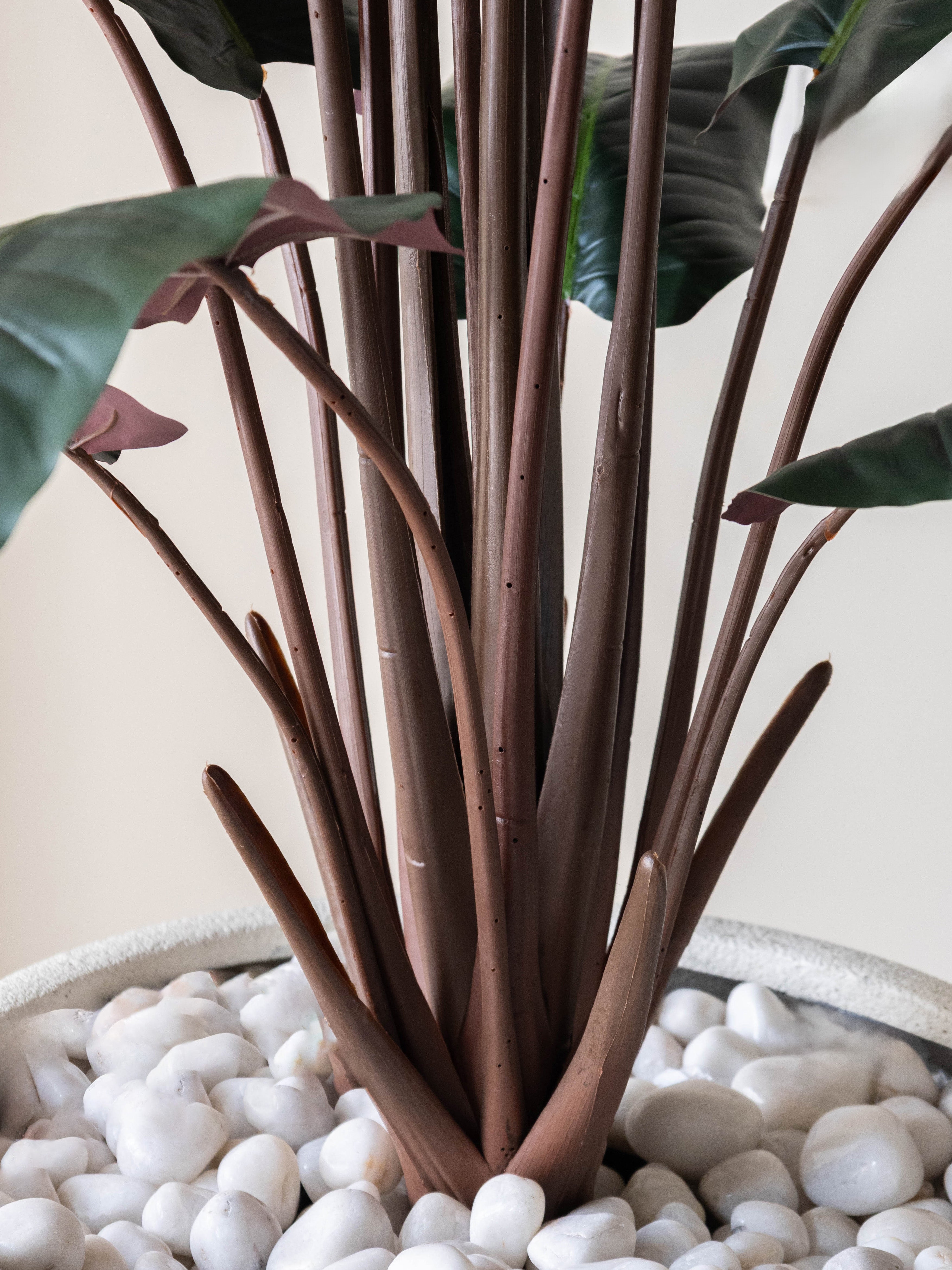 Artificial Calathea Plant 5ft