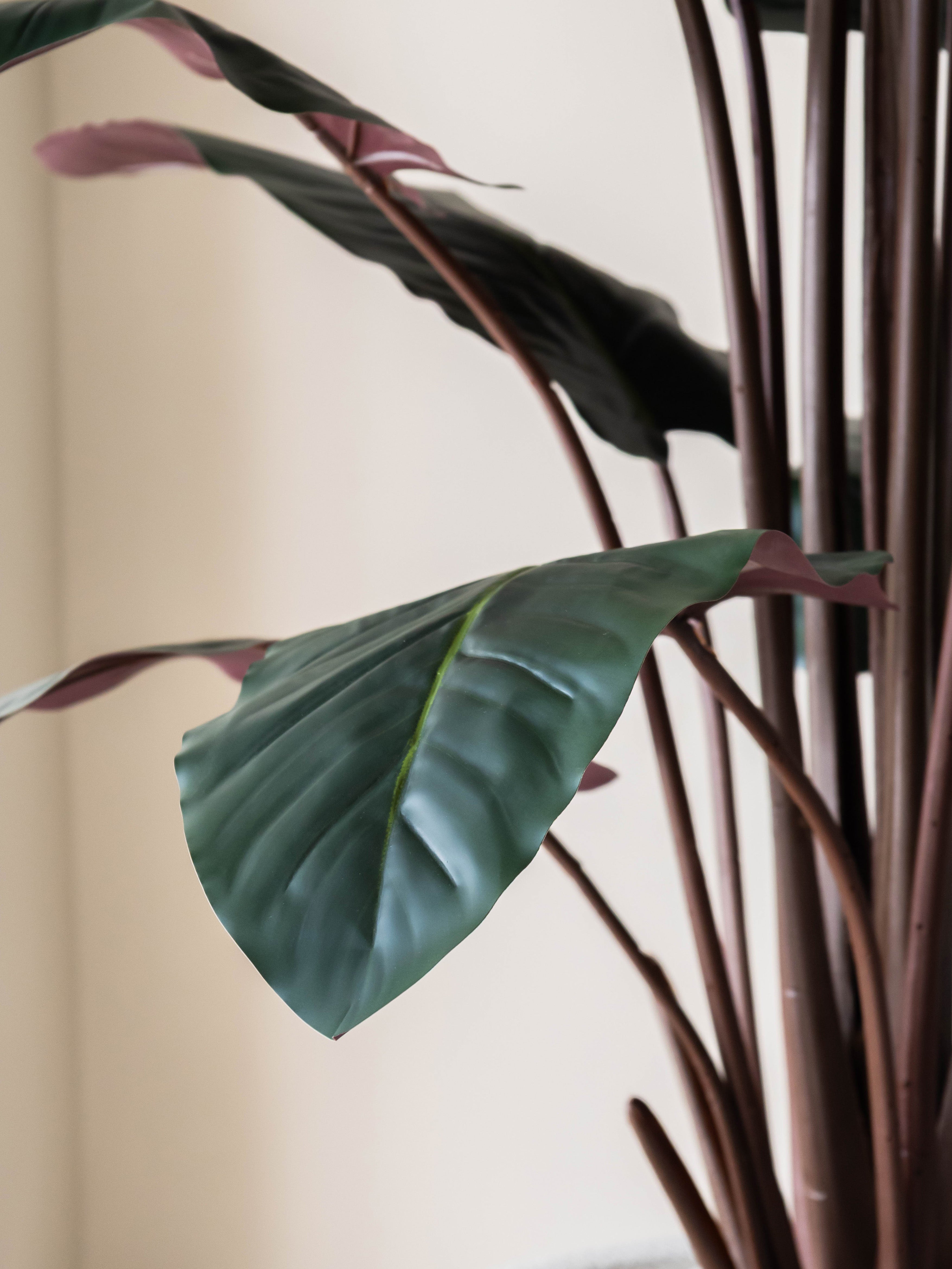 Artificial Calathea Plant 5ft