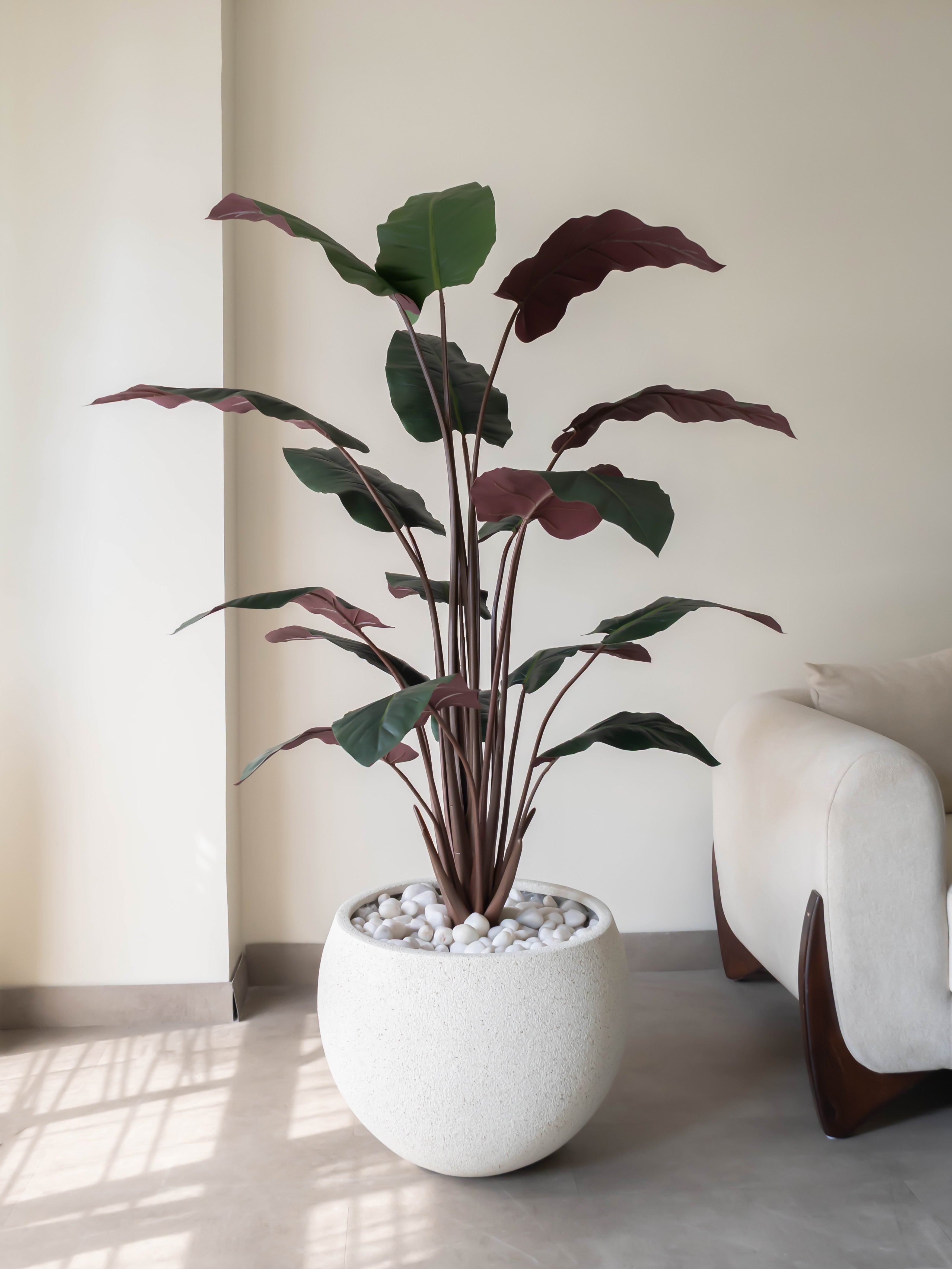 Artificial Calathea Plant 5ft