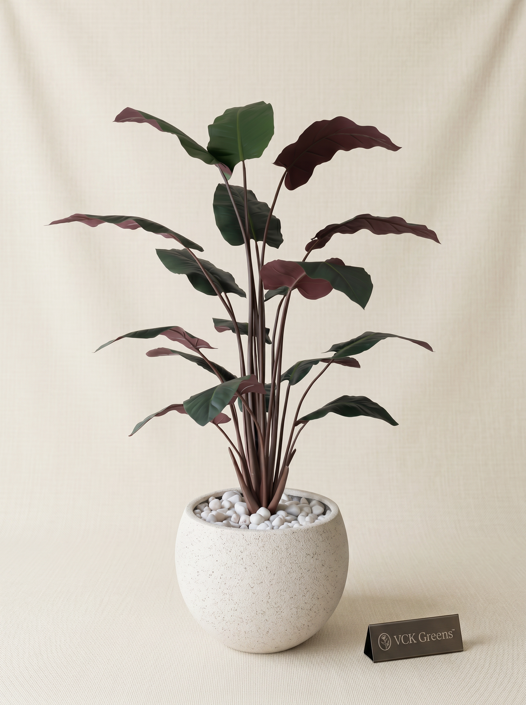 Artificial Calathea Plant 5ft