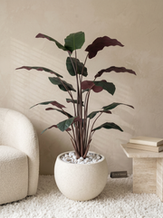 Artificial Calathea Plant 5ft