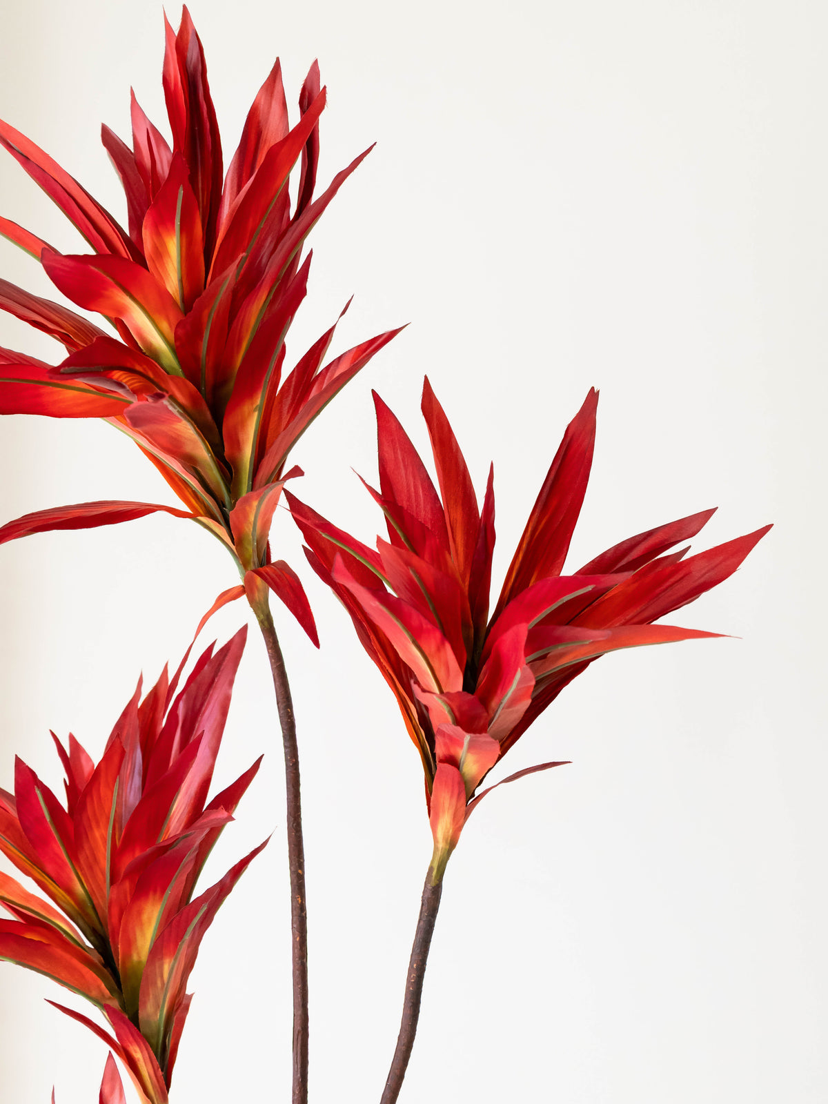 Artificial Crimson Dracaena Plant 5ft