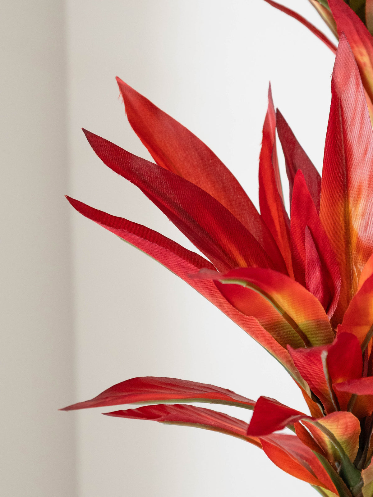 Artificial Crimson Dracaena Plant 5ft