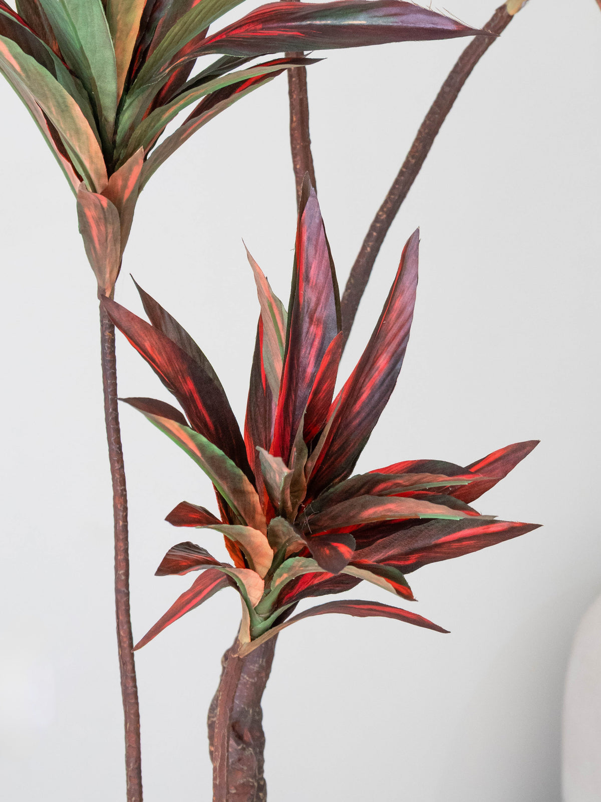 Artificial Crimson Verde Dracaena Plant 5ft