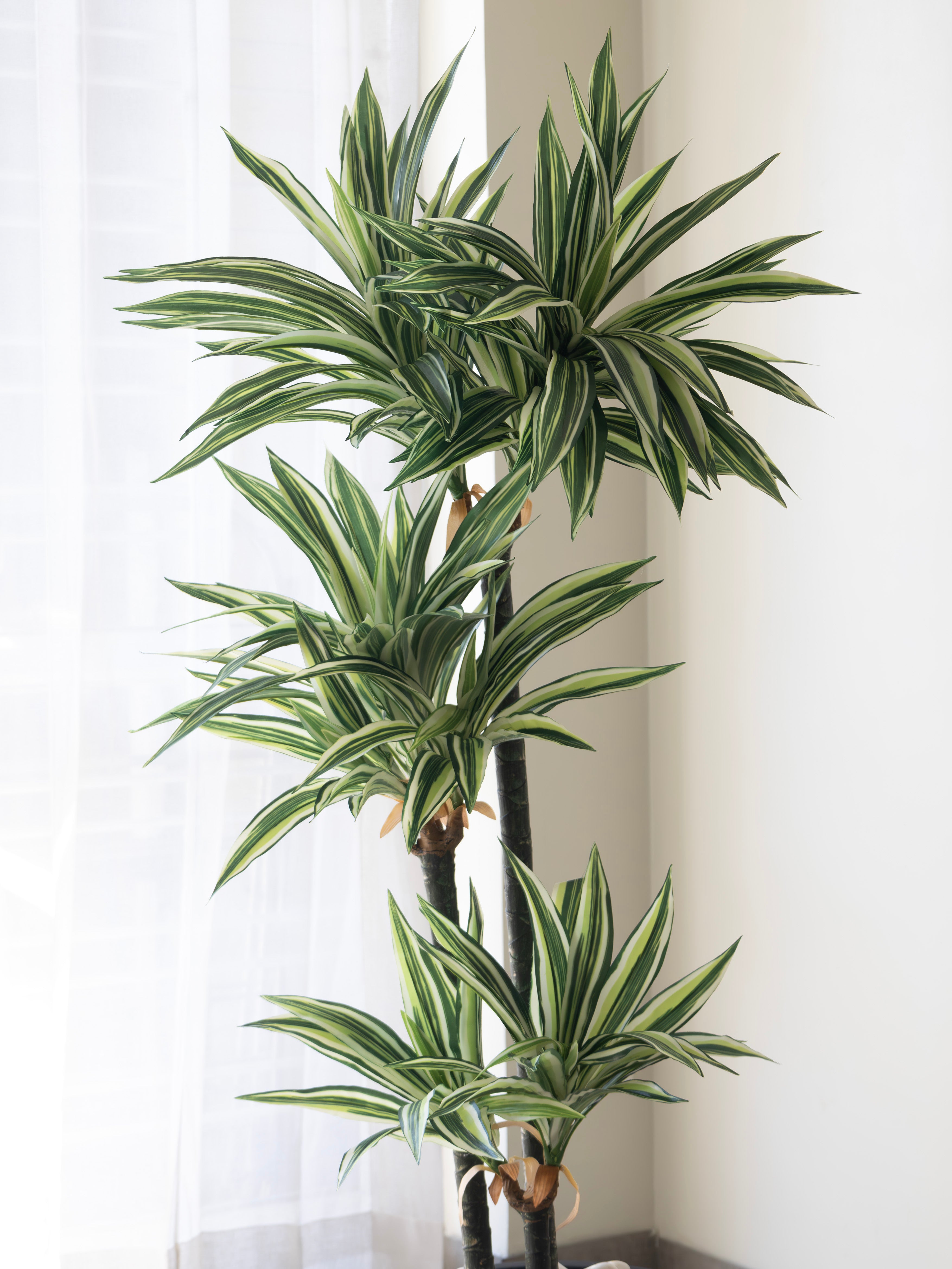 Artificial Dracaena Plant 5ft