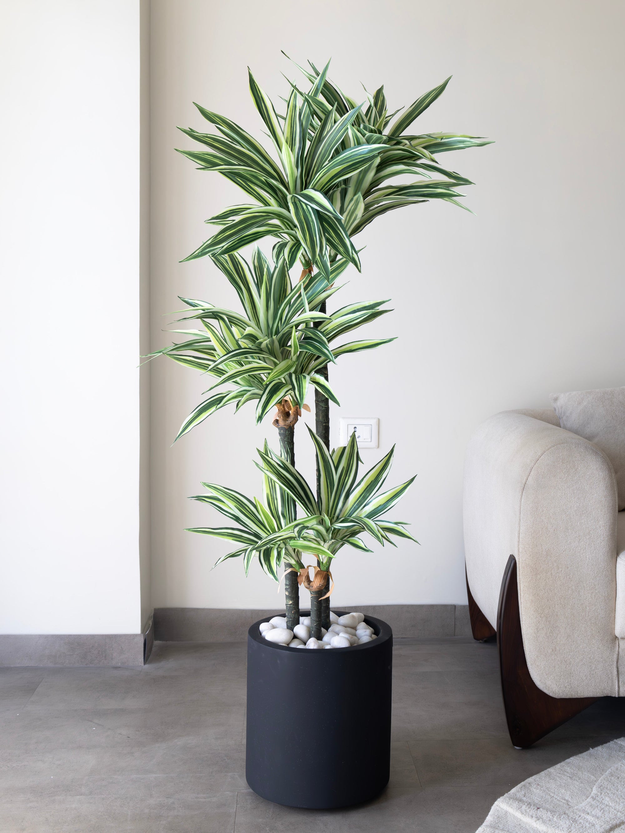 Artificial Dracaena Plant 5ft