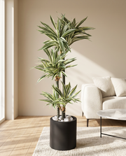 Artificial Dracaena Plant 5ft