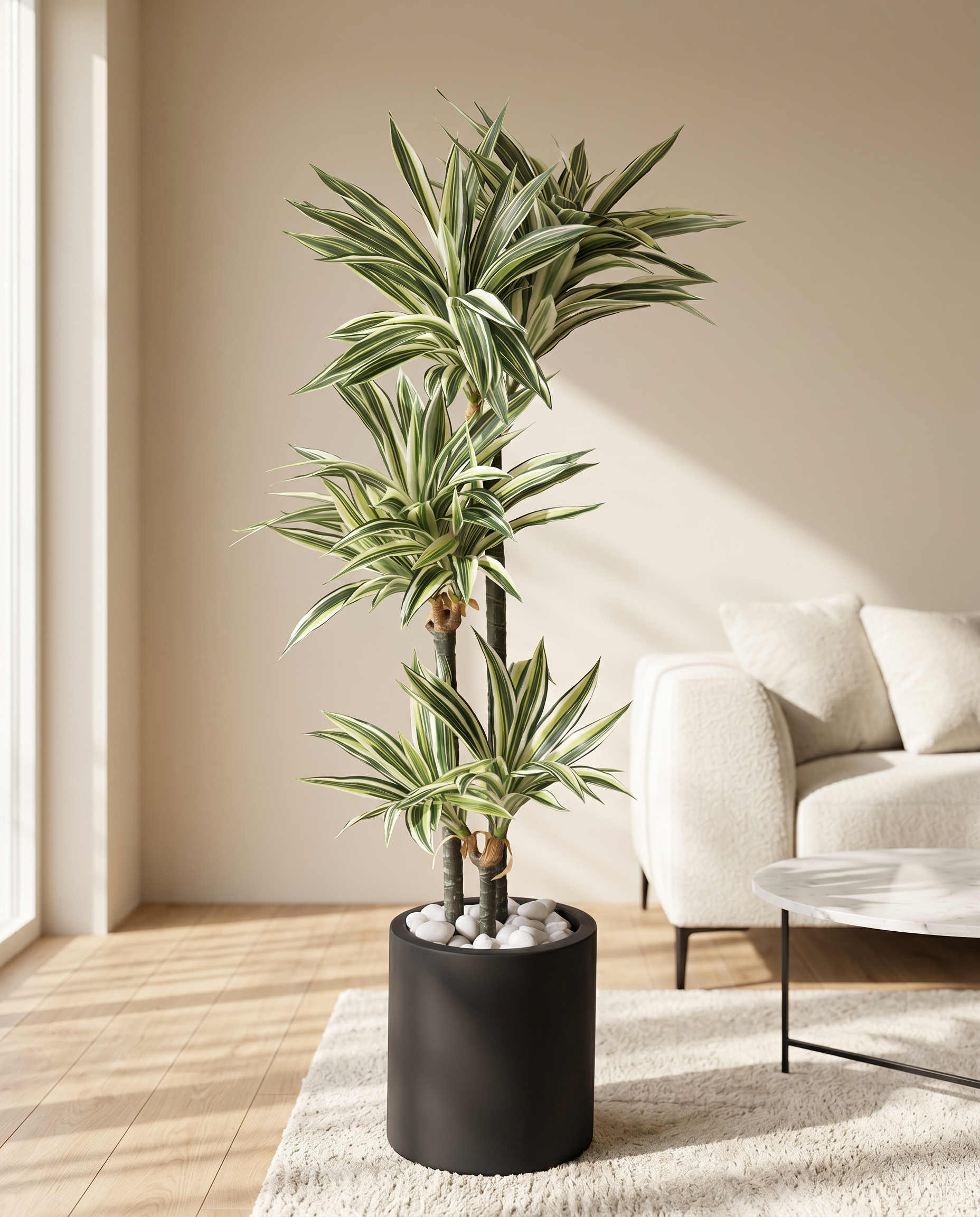 Artificial Dracaena Plant 5ft