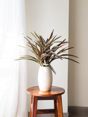 Artificial Dracaena Wildscape Bush 2ft