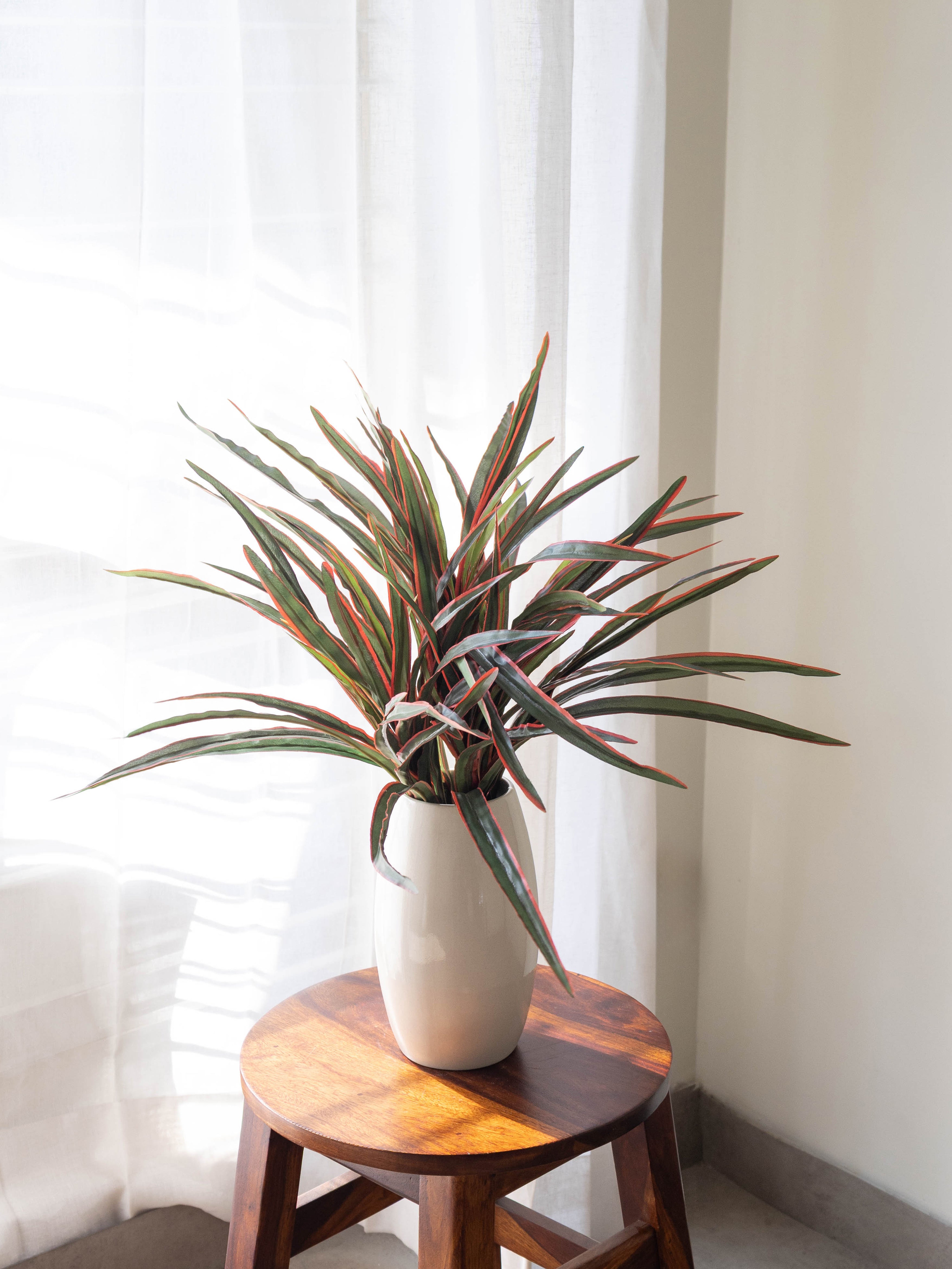 Artificial Dracaena Wildscape Bush 2ft
