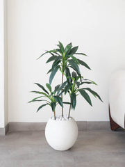 Artificial Green Architecture Dracaena Plant 3ft