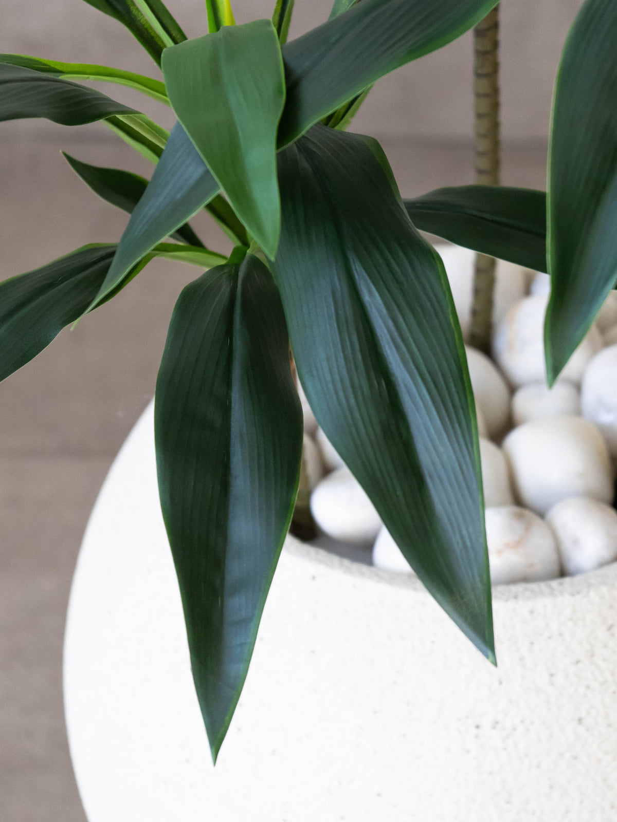 Artificial Green Architecture Dracaena Plant 3ft