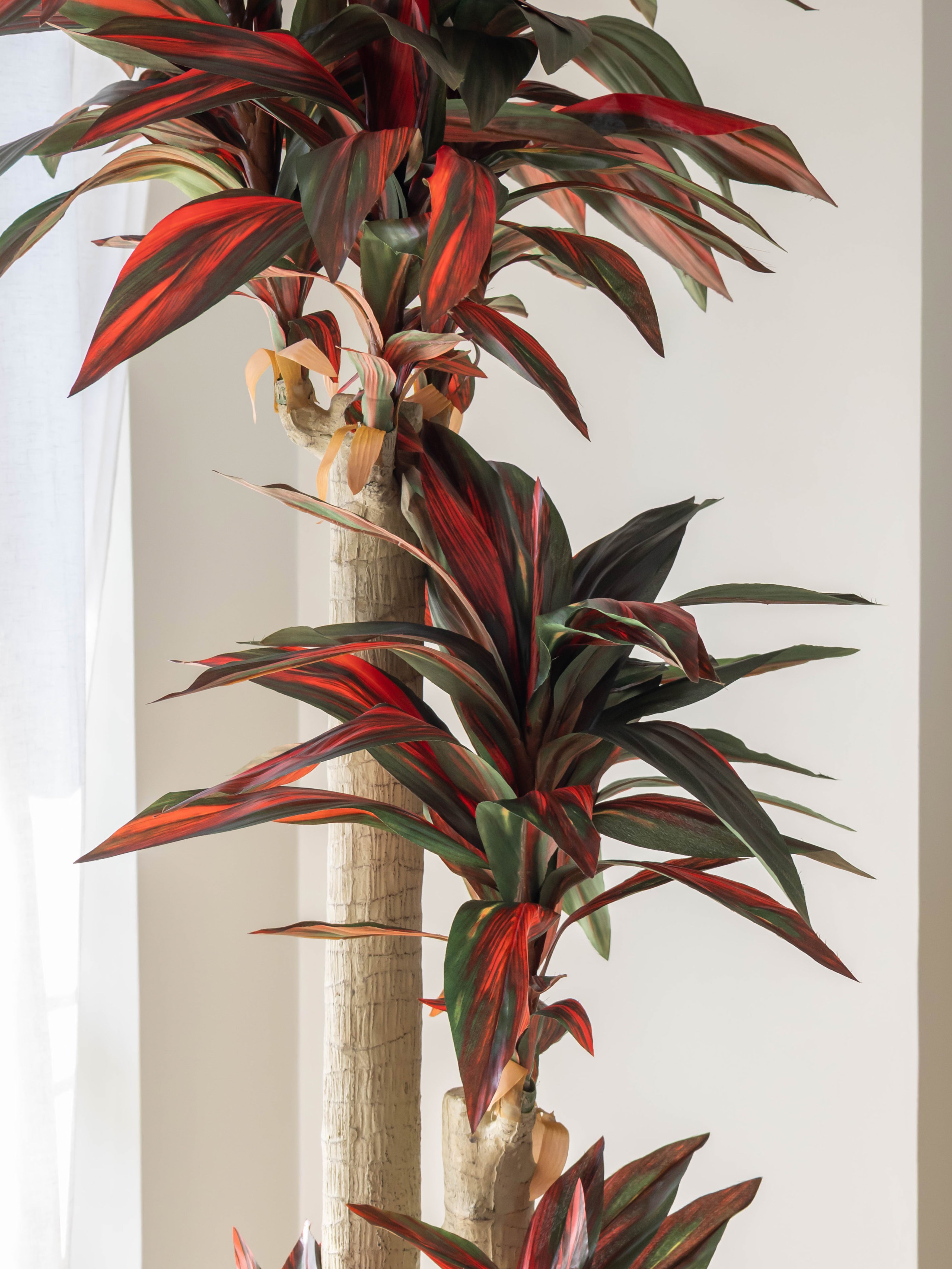 Artificial Dracaena Plant 5.8ft