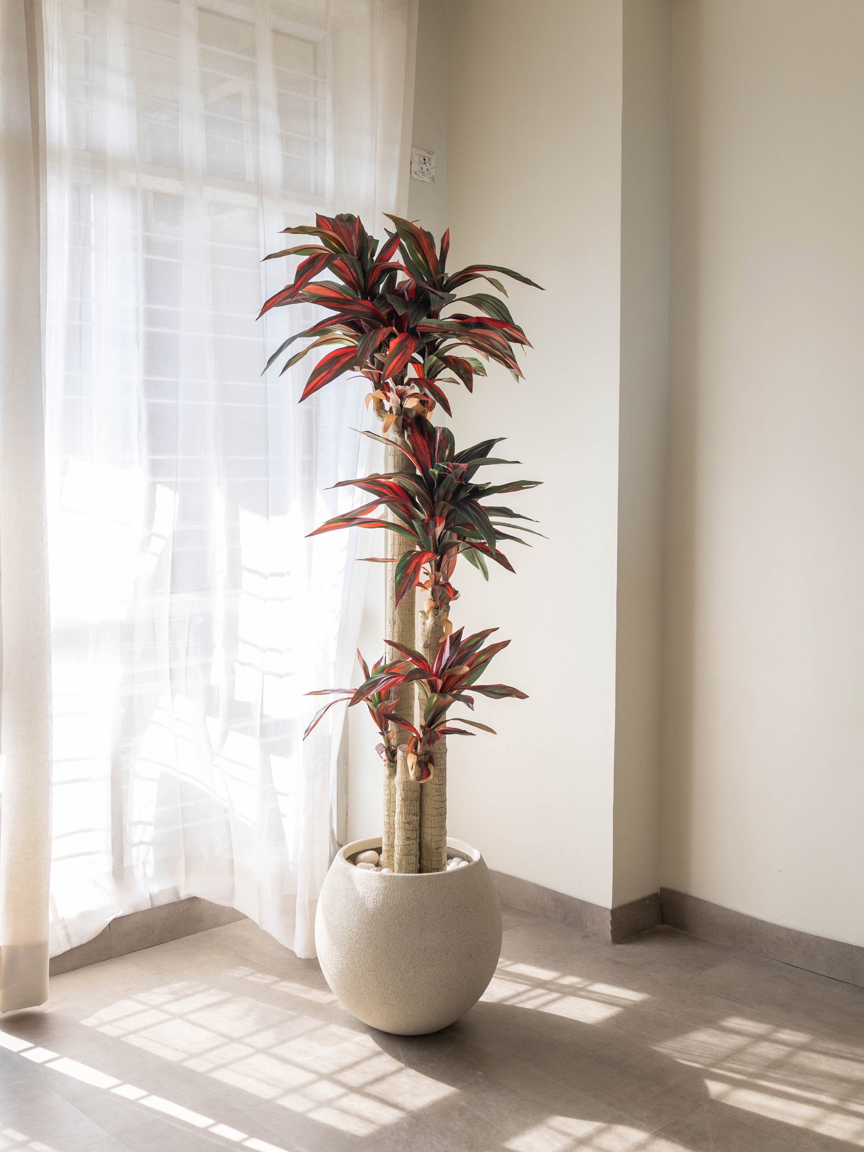 Artificial Dracaena Plant 5.8ft