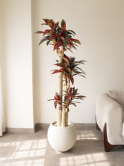Artificial Dracaena Plant 5.8ft
