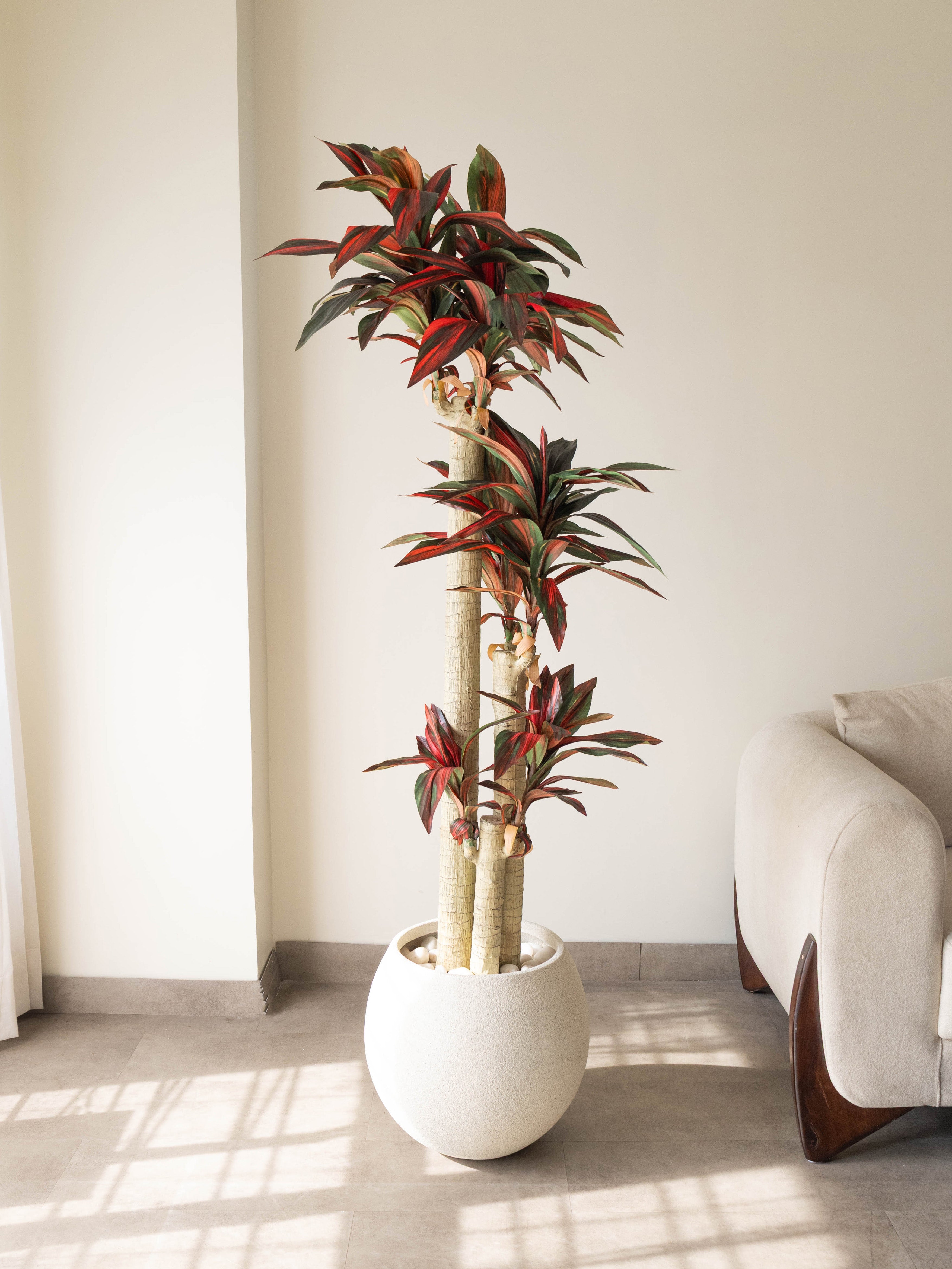Artificial Dracaena Plant 5.8ft