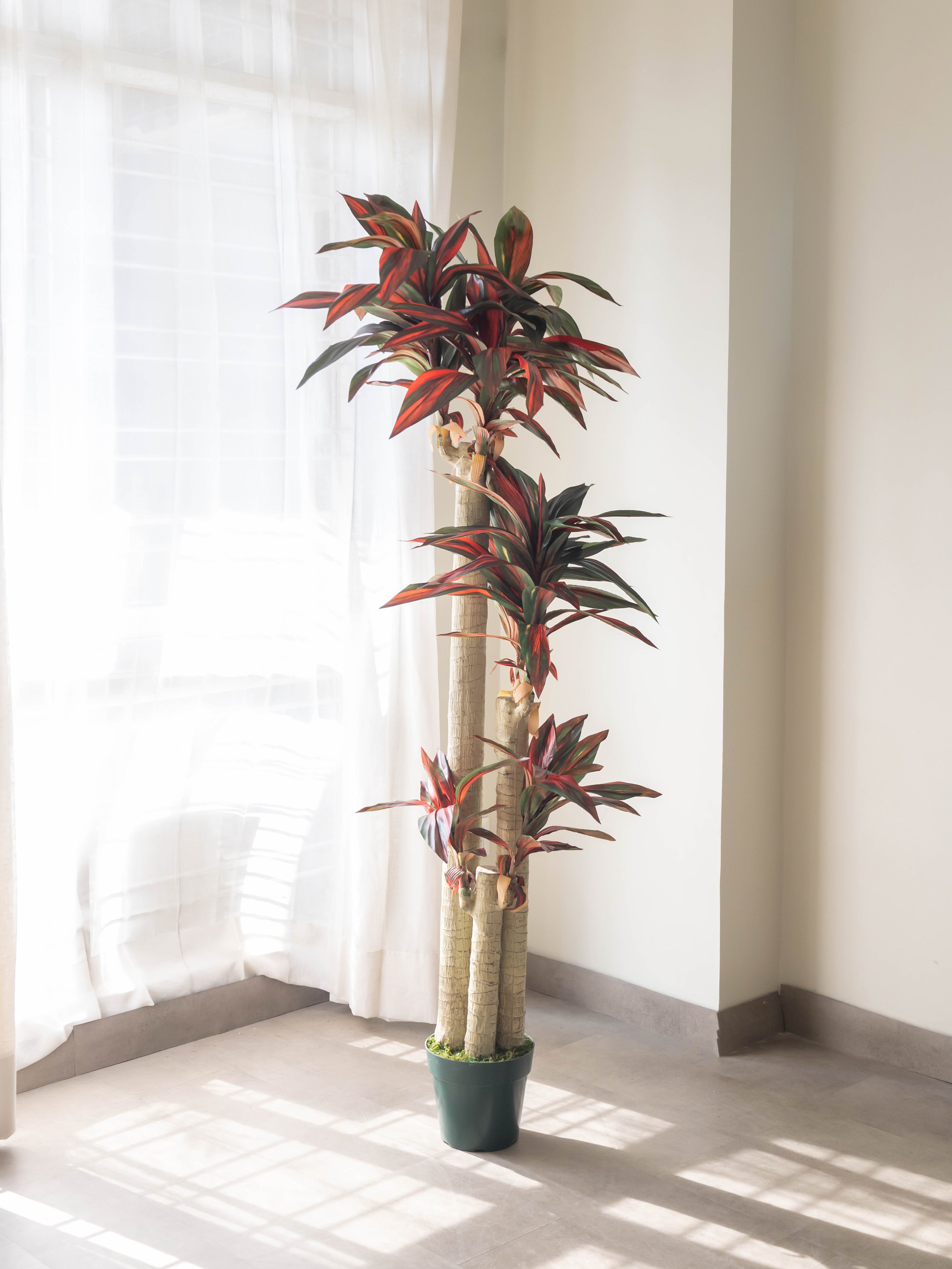 Artificial Dracaena Plant 5.8ft