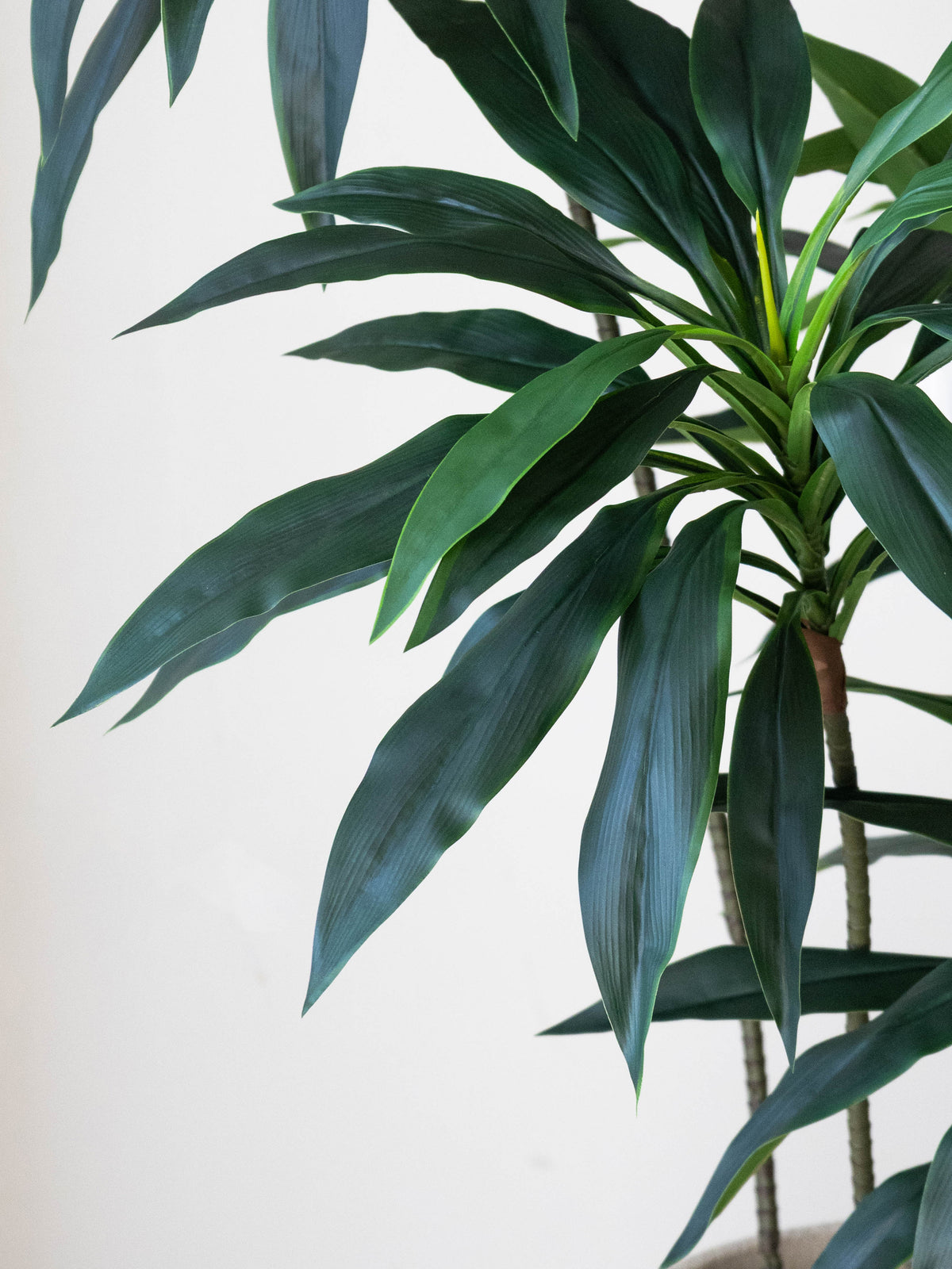 Artificial Green Dracaena Plant 5ft