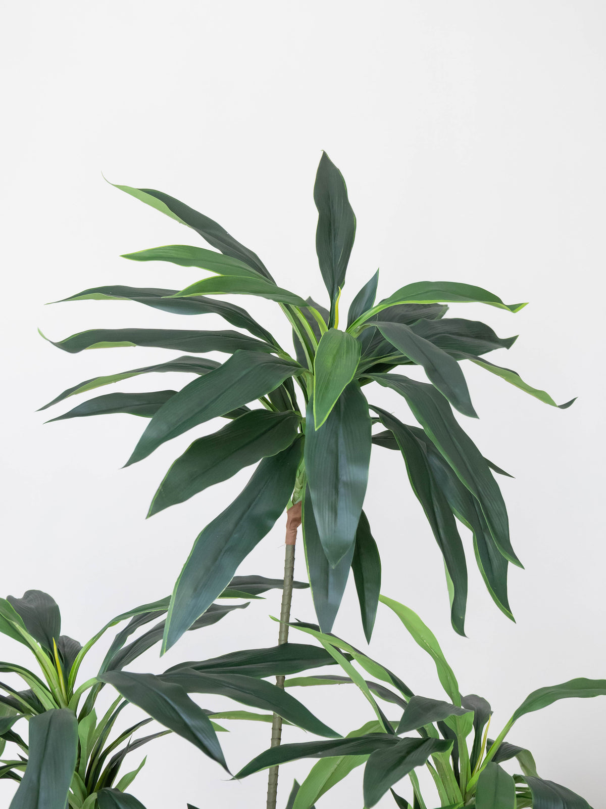 Artificial Green Dracaena Plant 5ft