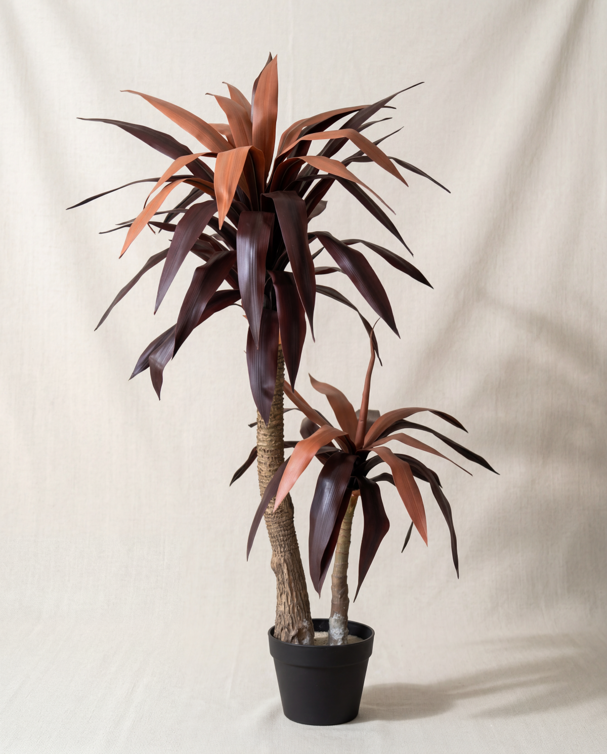 Artificial Red Dracaena Plant 4ft