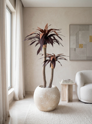 Artificial Red Dracaena Plant 5ft