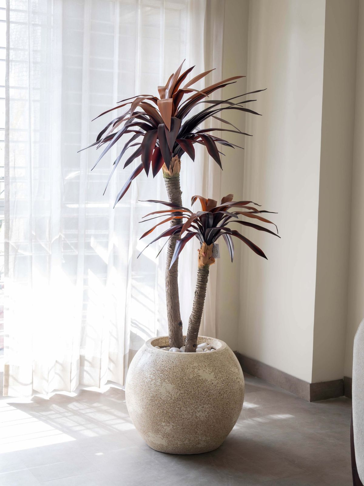Artificial Red Dracaena Plant 5ft