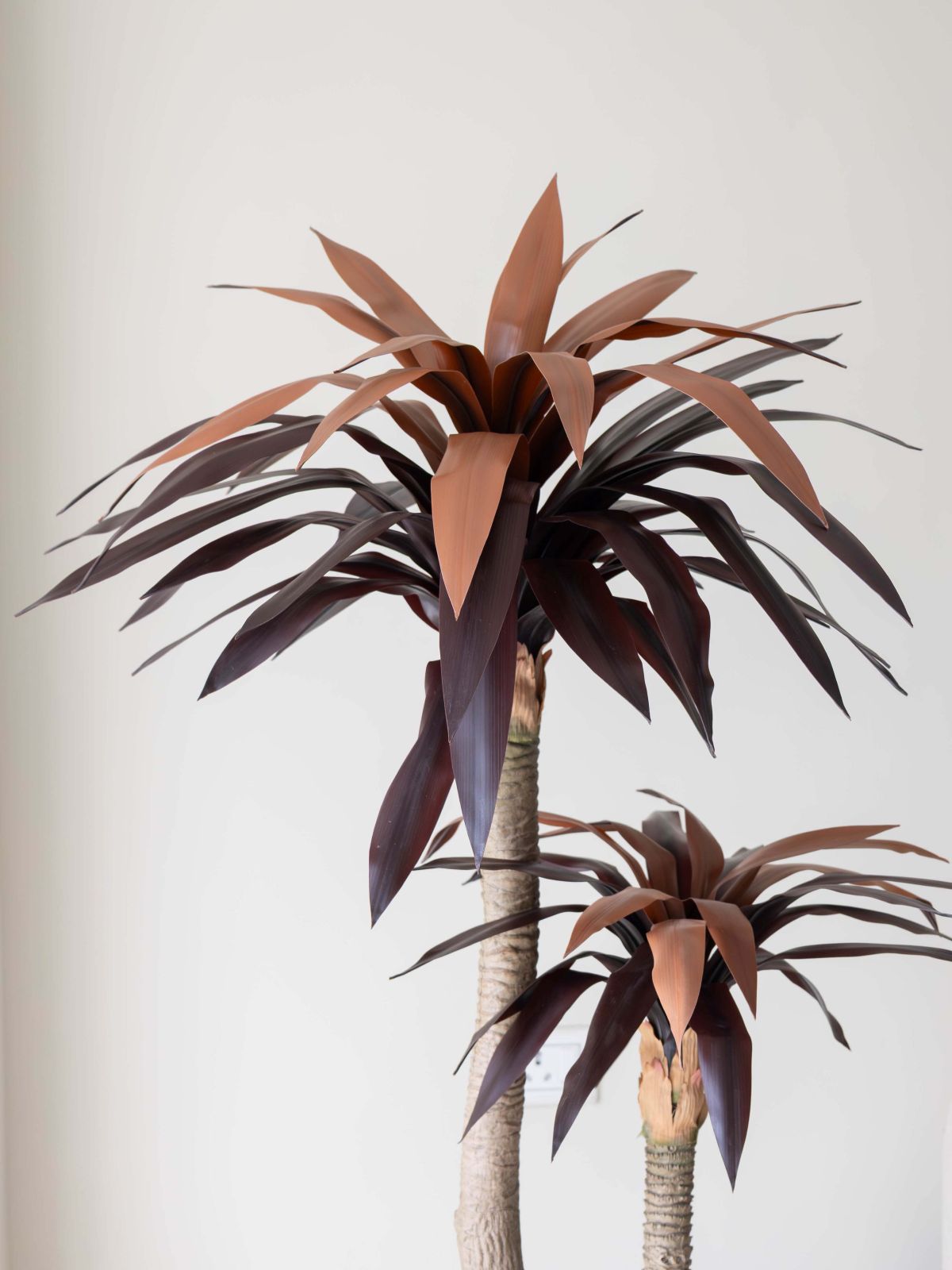 Artificial Red Dracaena Plant 5ft