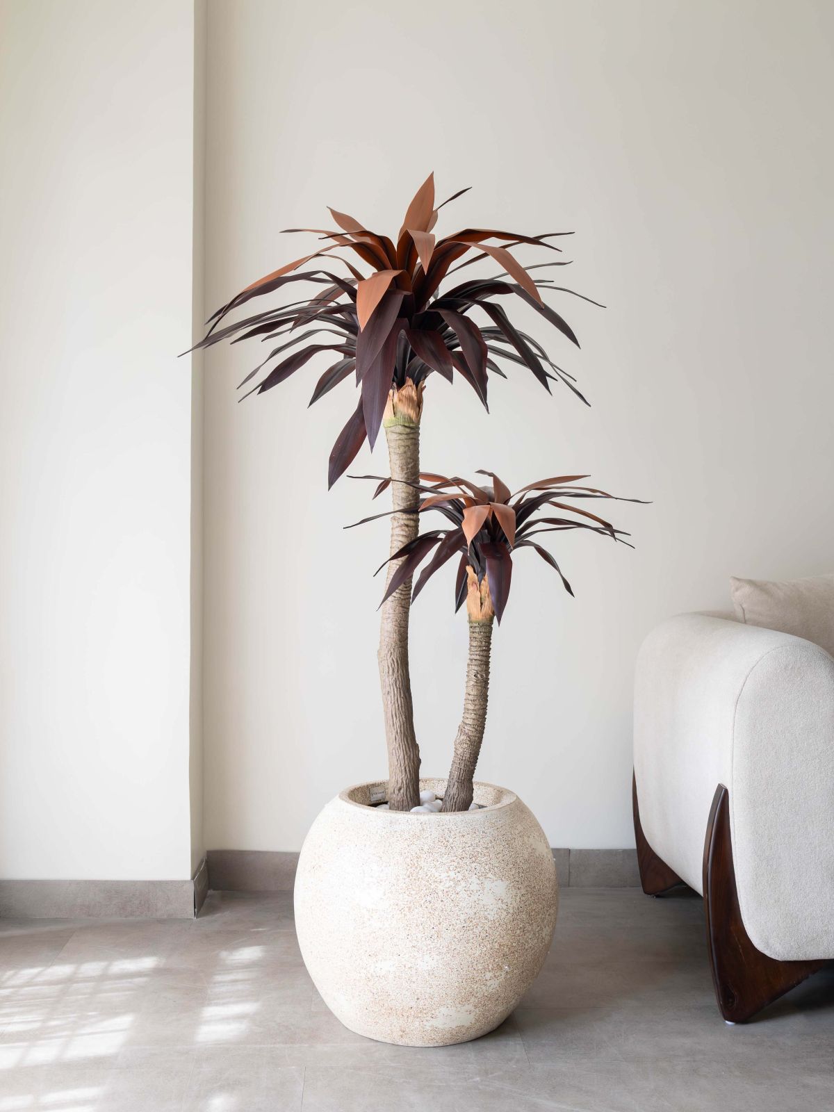 Artificial Red Dracaena Plant 5ft