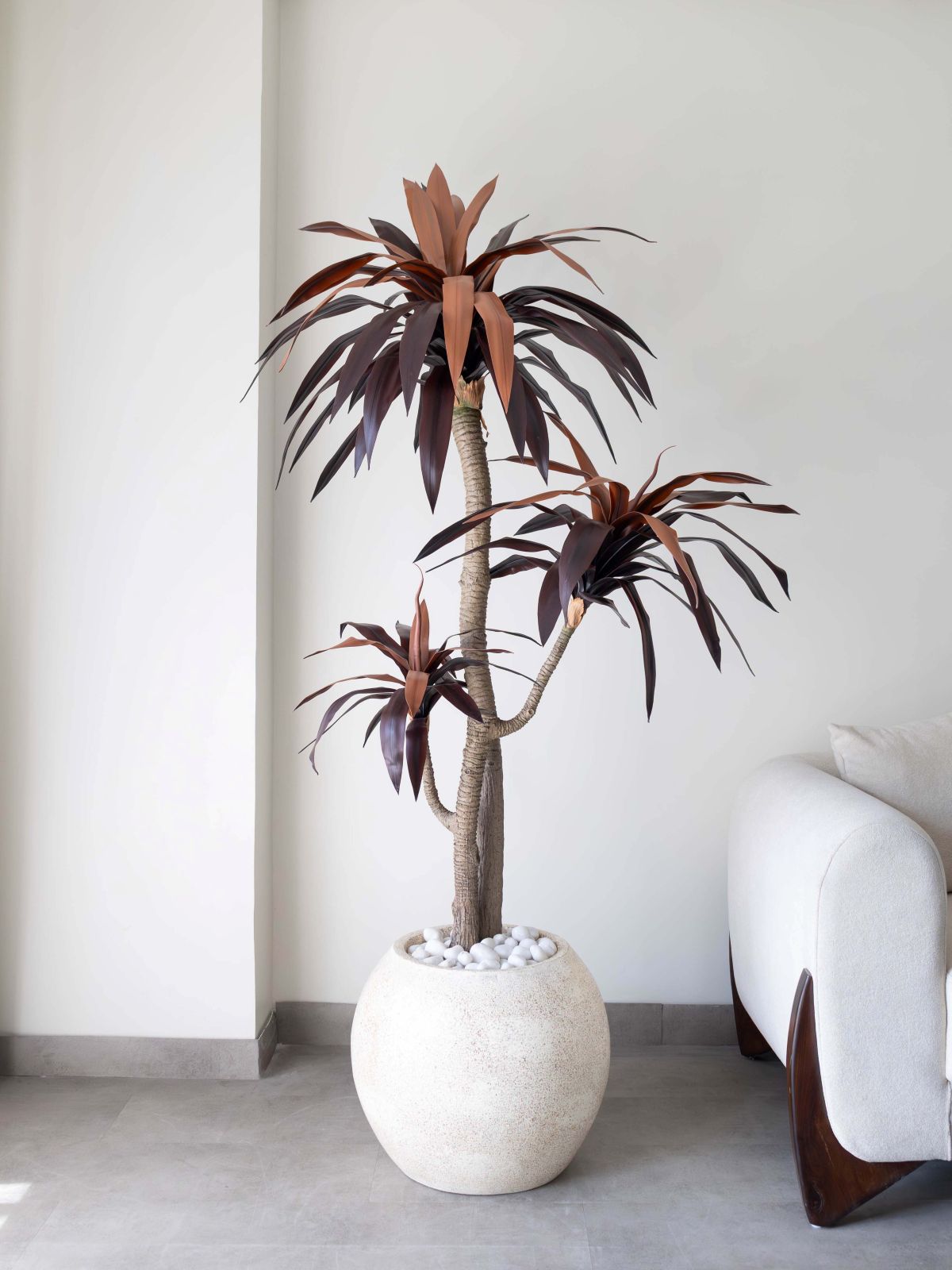 Artificial Red Dracaena Plant 6ft