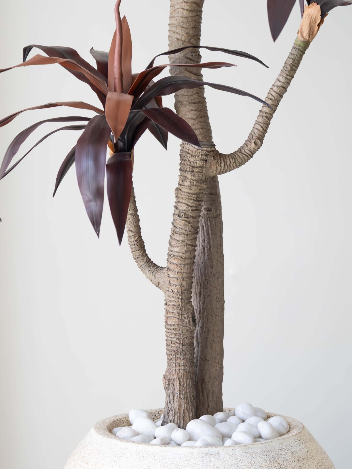 Artificial Red Dracaena Plant 6ft