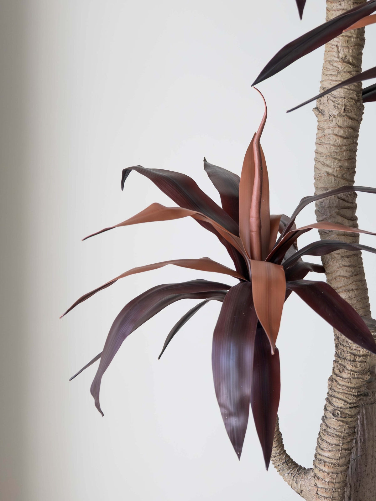 Artificial Red Dracaena Plant 6ft