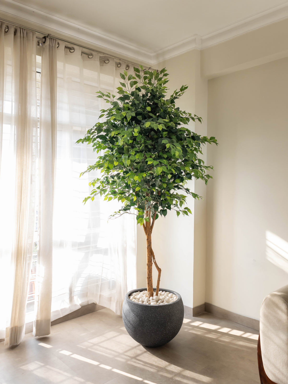 Artificial Ficus Tree 7.5ft