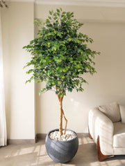 Artificial Ficus Tree 7.5ft